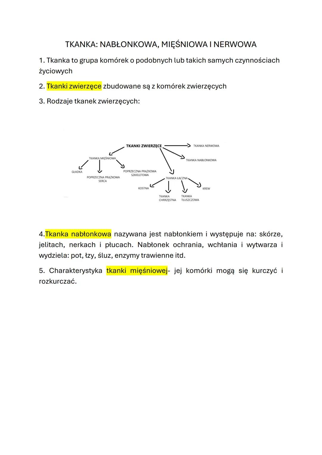 TKANKA: NABŁONKOWA, MIĘŚNIOWA I NERWOWA
1. Tkanka to grupa komórek o podobnych lub takich samych czynnościach
życiowych
2. Tkanki zwierzęce