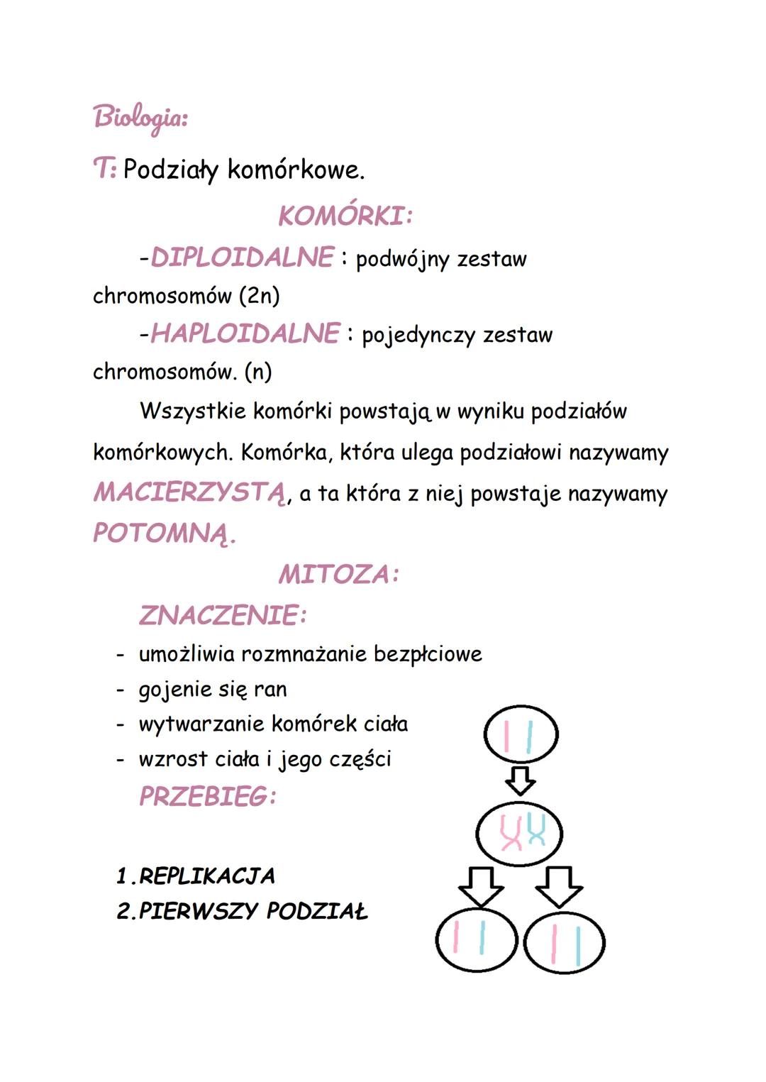 Biologia:
T: Podziały komórkowe.
KOMÓRKI:
-DIPLOIDALNE: podwójny zestaw
chromosomów (2n)
-HAPLOIDALNE: pojedynczy zestaw
chromosomów. (n)
W