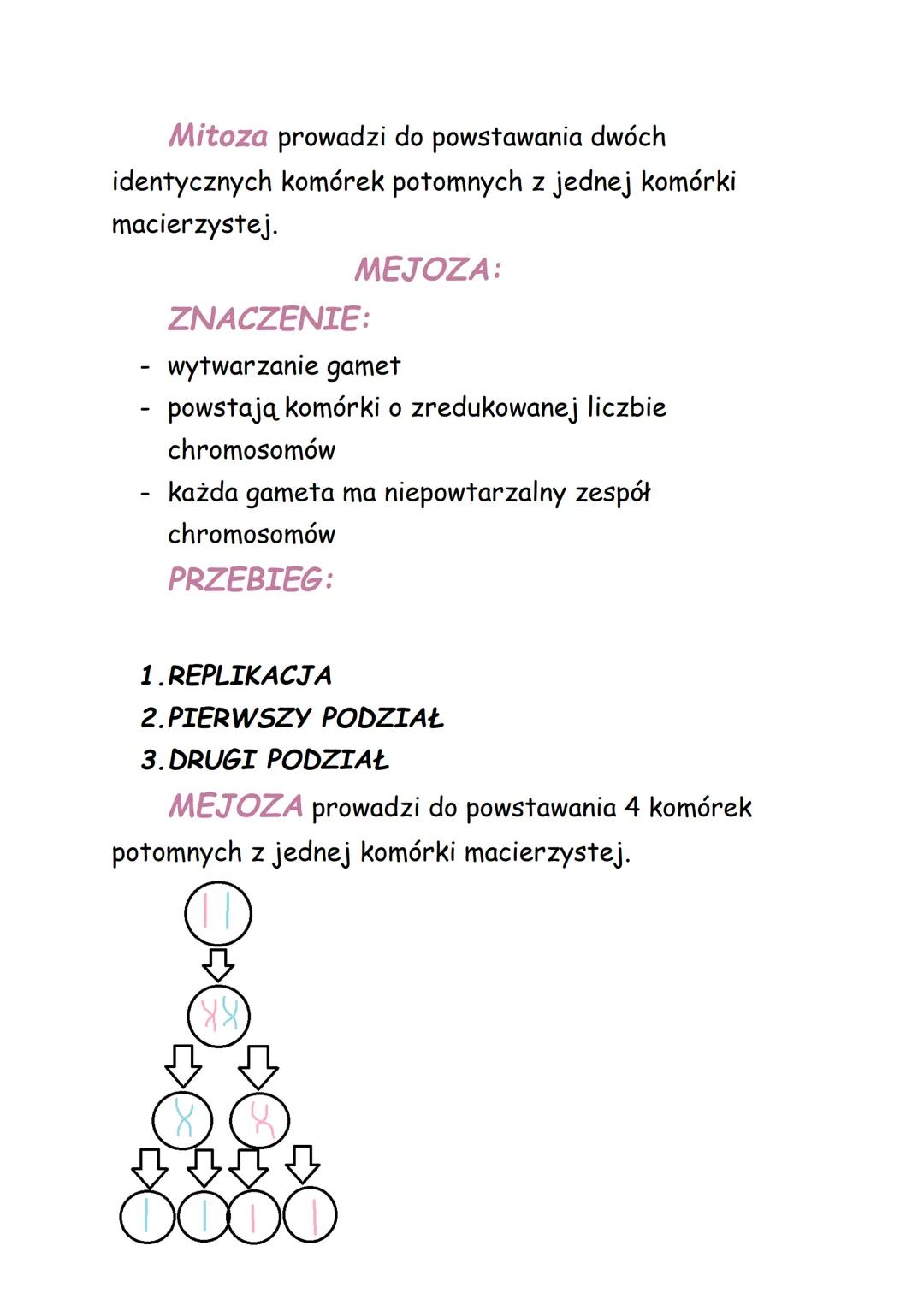 Biologia:
T: Podziały komórkowe.
KOMÓRKI:
-DIPLOIDALNE: podwójny zestaw
chromosomów (2n)
-HAPLOIDALNE: pojedynczy zestaw
chromosomów. (n)
W
