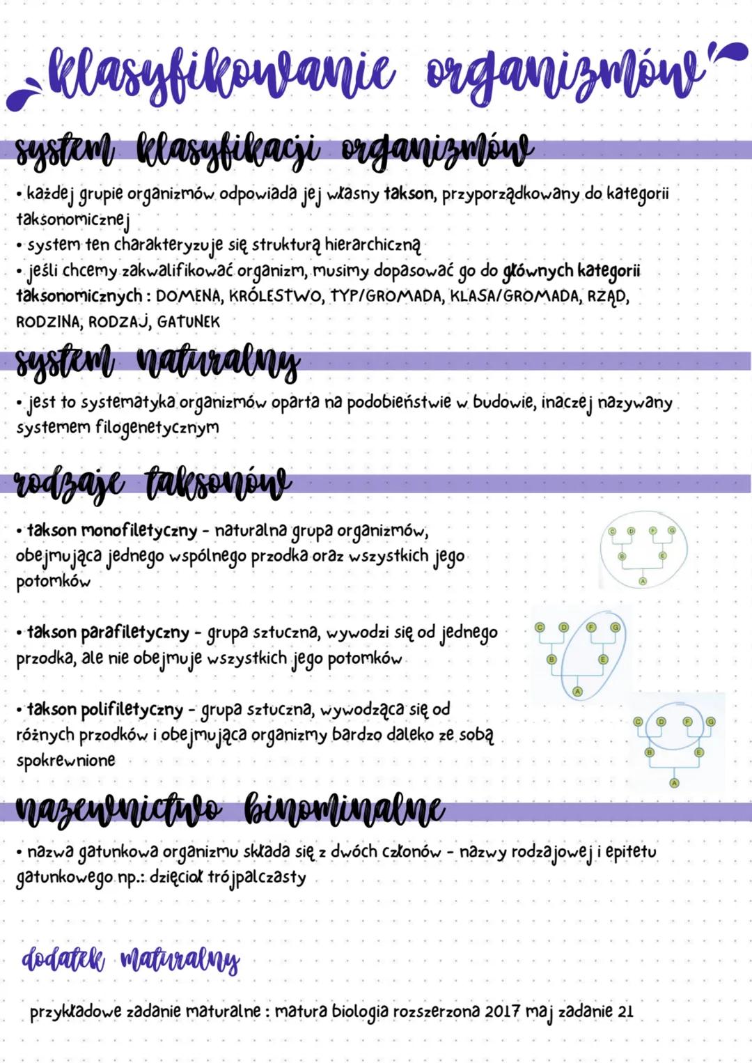 klasyfikacje organizmów