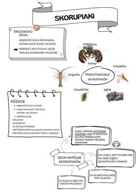 Know Skorupiaki thumbnail