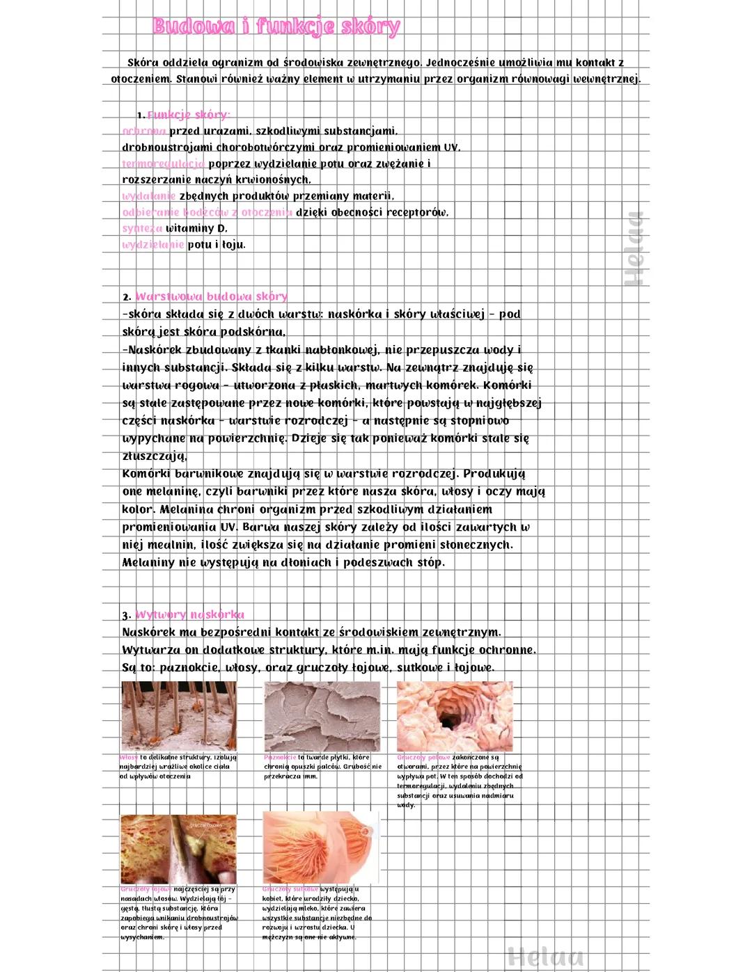 Budowa i funkcje skóry.