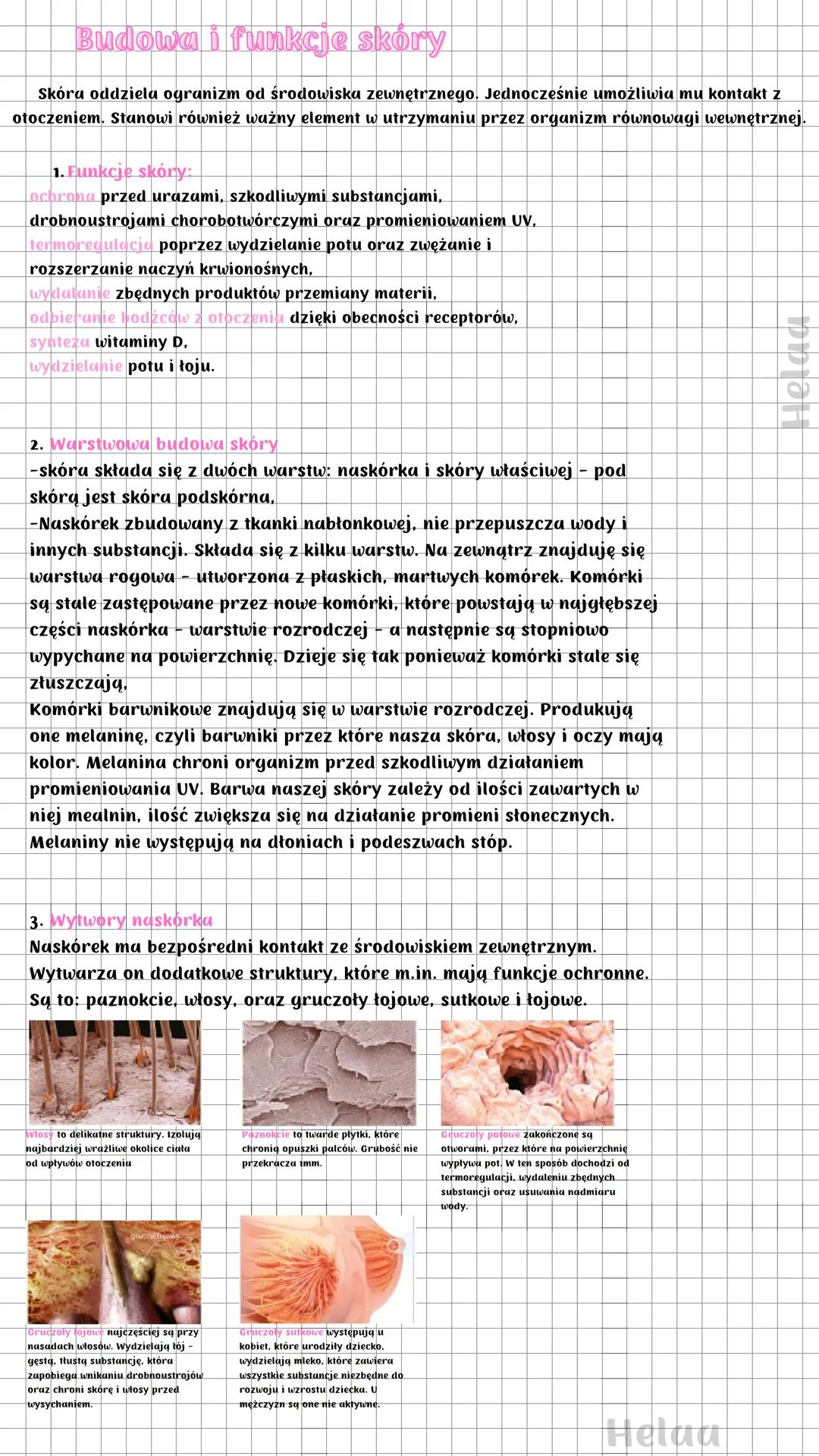 Budowa i funkcje skóry
Skóra oddziela ogranizm od środowiska zewnętrznego. Jednocześnie umożliwia mu kontakt z
otoczeniem. Stanowi również w