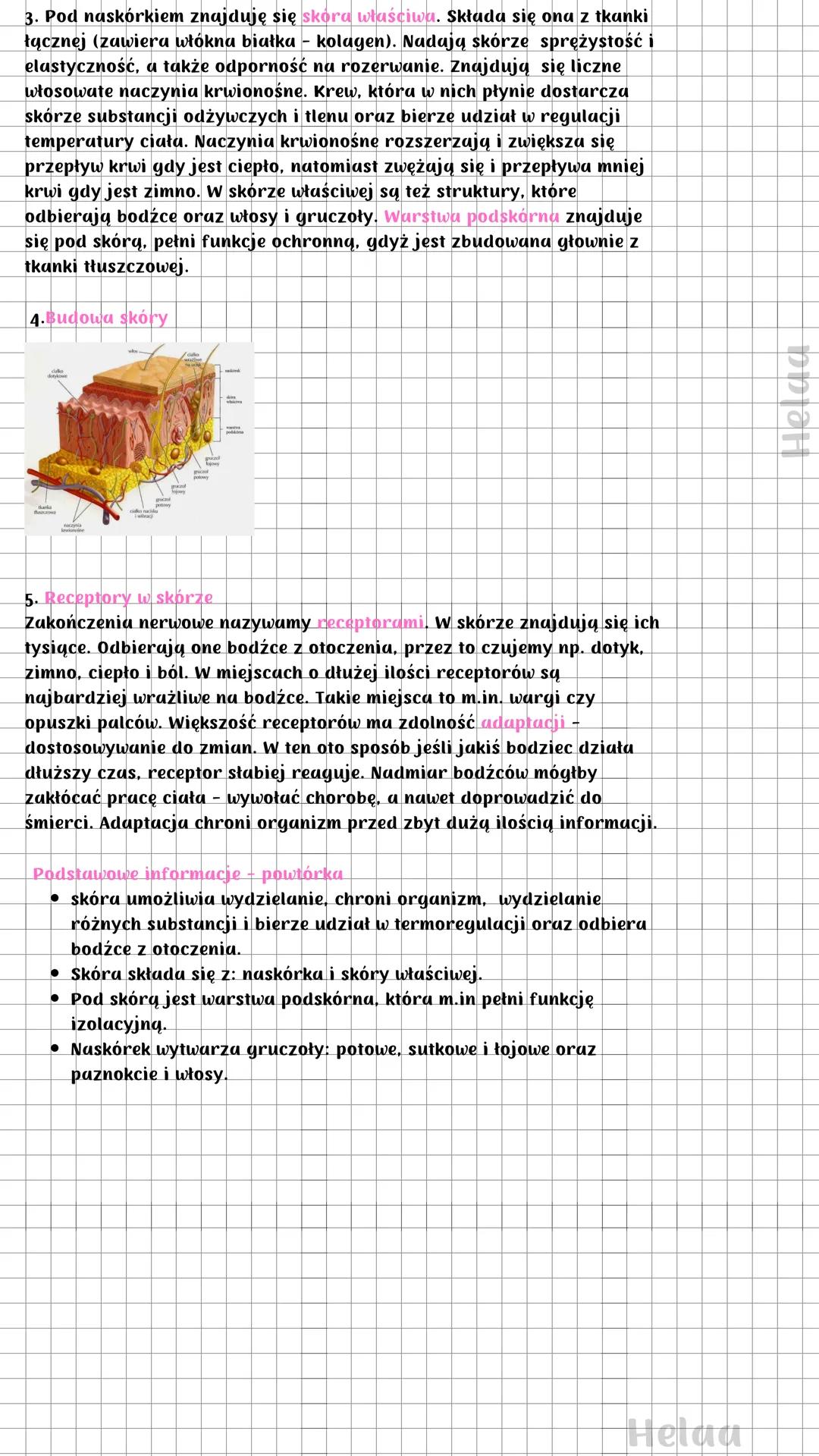 Budowa i funkcje skóry
Skóra oddziela ogranizm od środowiska zewnętrznego. Jednocześnie umożliwia mu kontakt z
otoczeniem. Stanowi również w