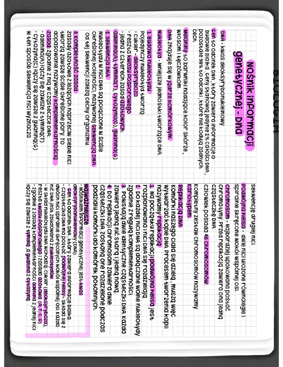 Nośnik informacji genetycznej - DNA