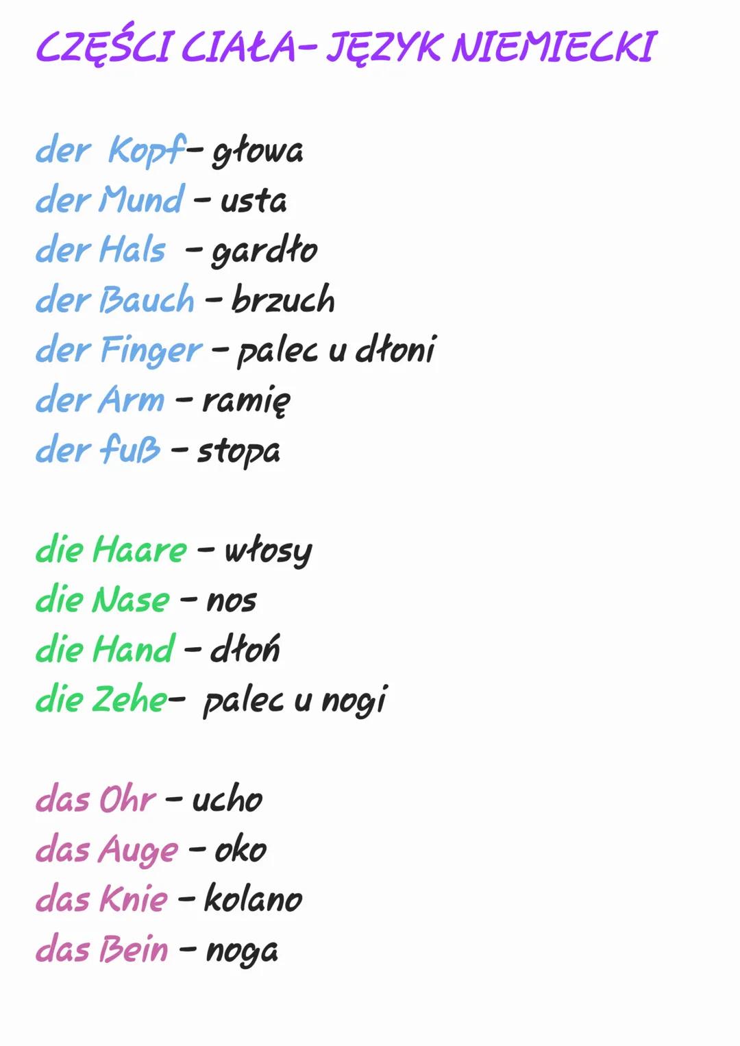 CZĘŚCI CIAŁA-JĘZYK NIEMIECKI
der Kopf-głowa
der Mund- usta
der Hals-gardło
der Bauch-brzuch
der Finger-palec u dłoni
der Arm- ramię
der fuß-