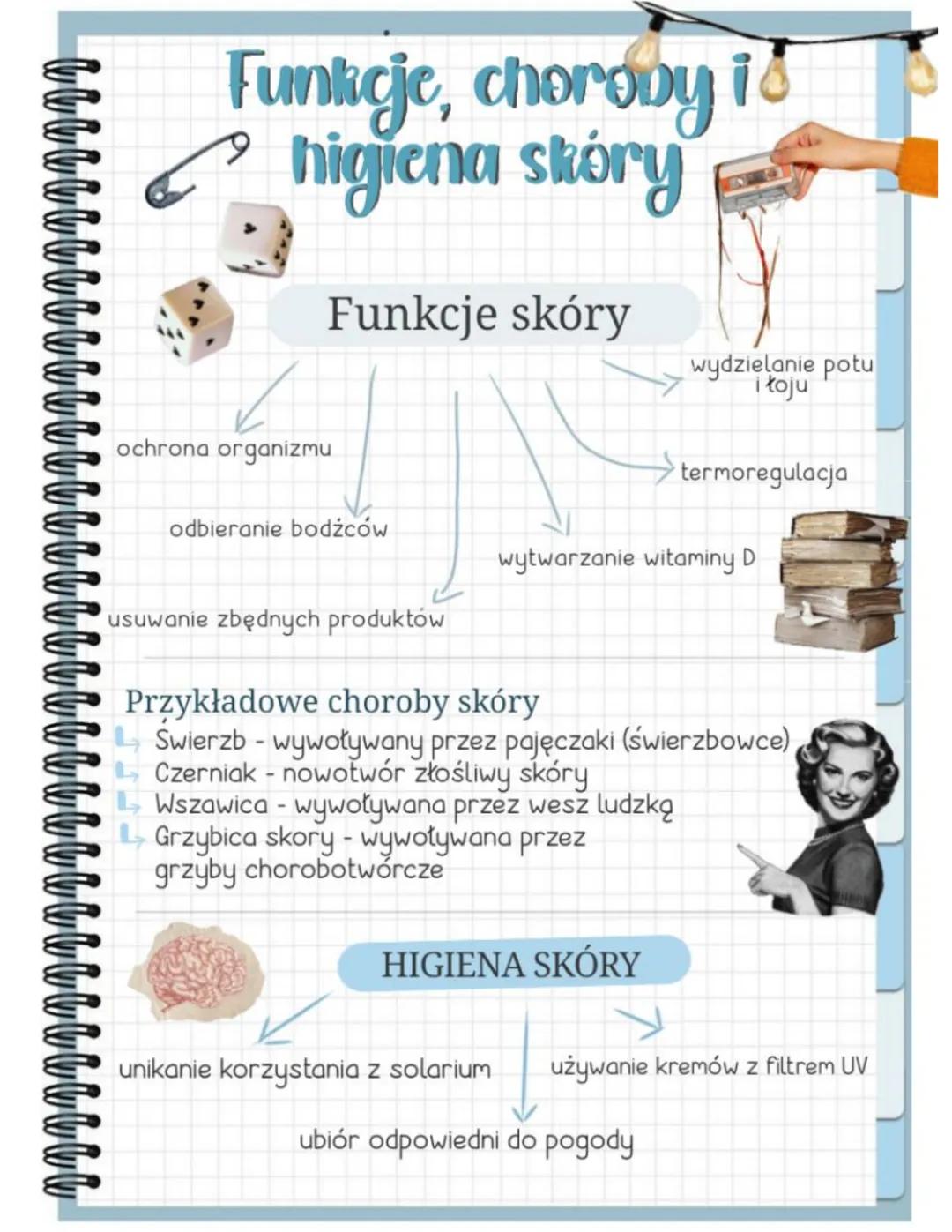 Funkcje, choroby id
higiena skóry
Funkcje skóry
ochrona organizmu
odbieranie bodźców
wydzielanie potu
i łoju
termoregulacja
wytwarzanie wita