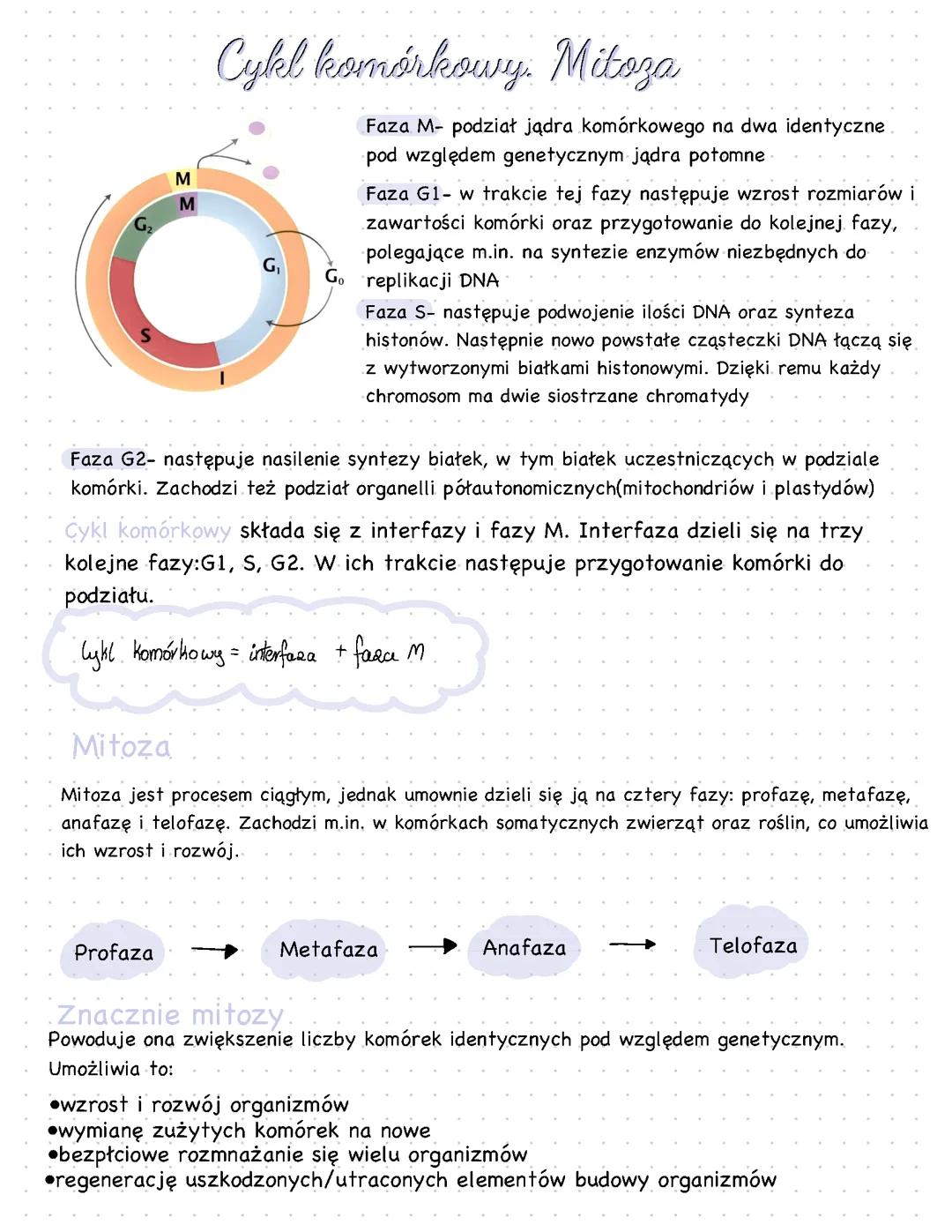 Cykl komórkowy. Mitoza