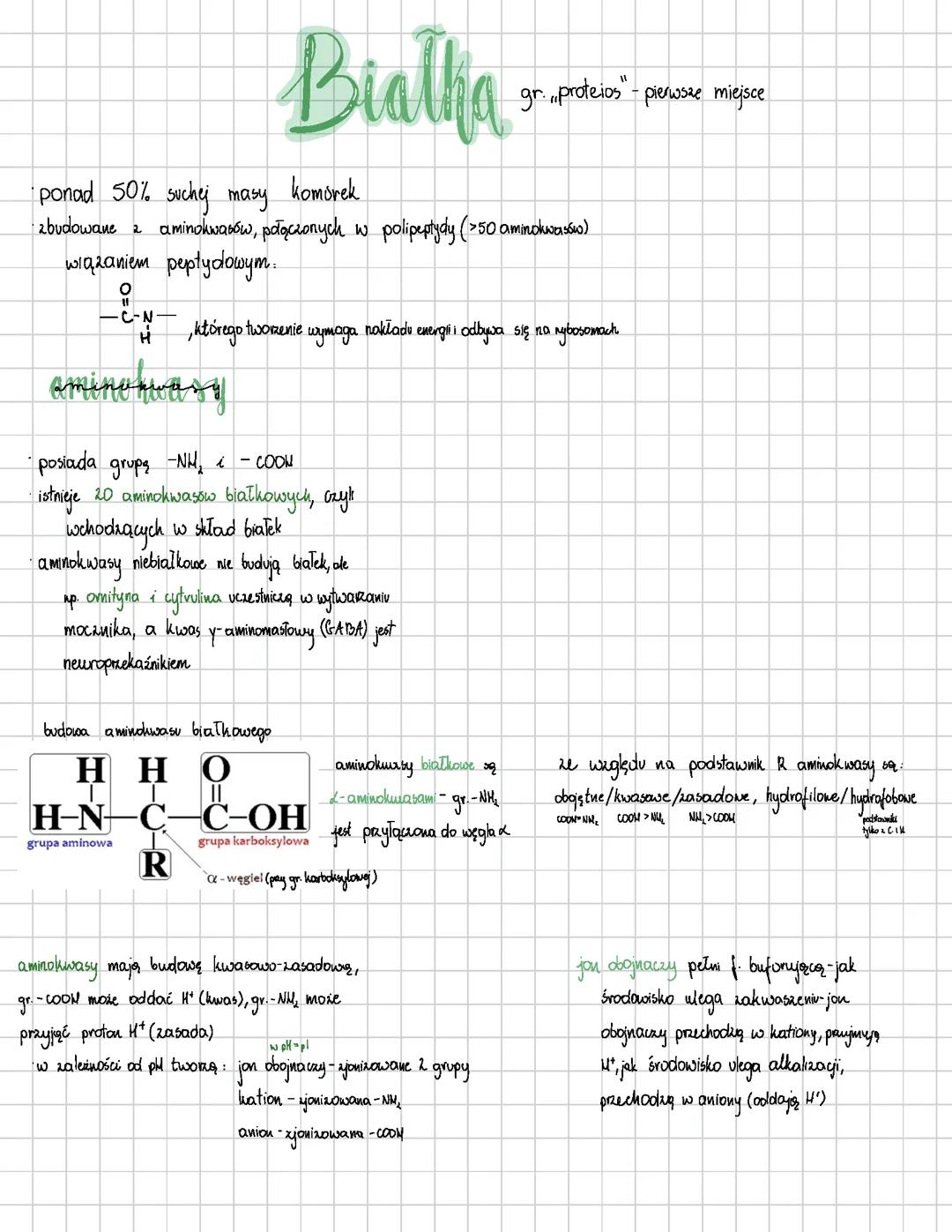 Aminokwasy i białka