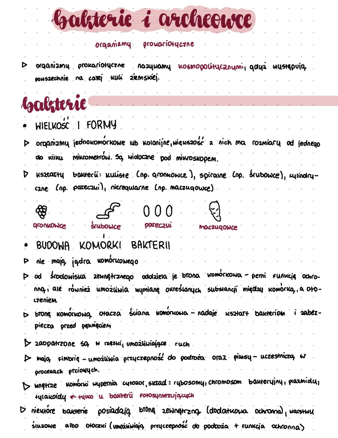 bakterie i archeowce