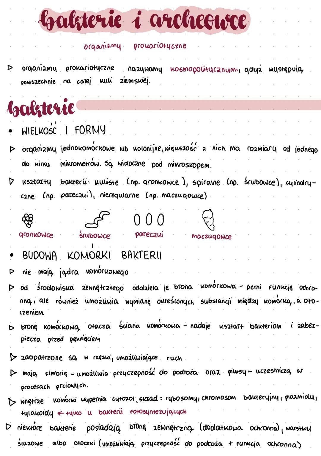 bakterie i archeowce
organizmy prokariotyczne
▷ organizmu prokariotyczne
лагунами косморойтусалим, дача wustapuig
powszechnie na całej kuli