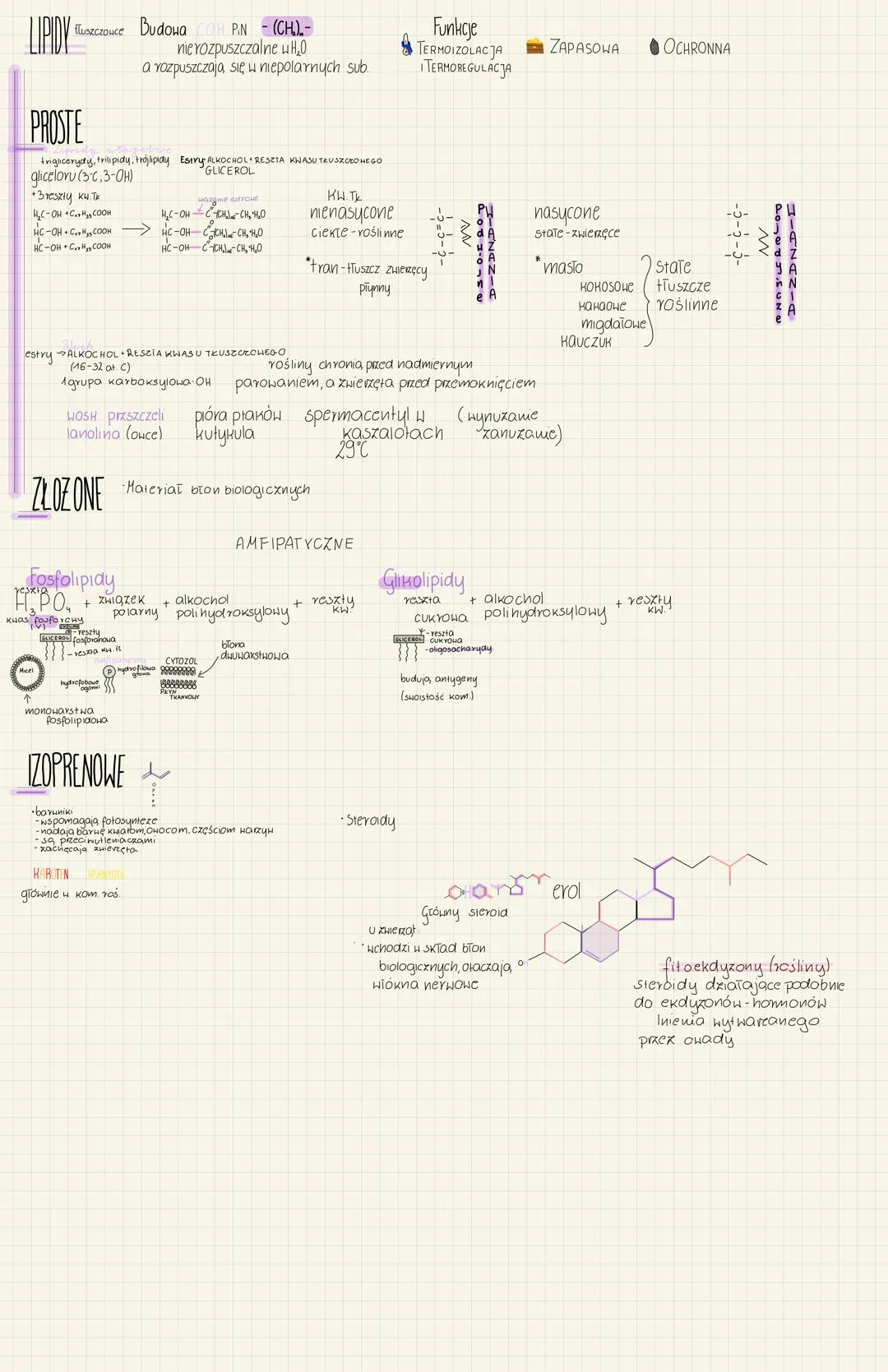 fluszczouce Budowa OH PN - (CH).-
nie rozpuszczalne u H₂O
a rozpuszczają się w niepolarnych sub
Funkcje
TERMOIZOLACJA ZAPASOWA OCHRONNA
TE