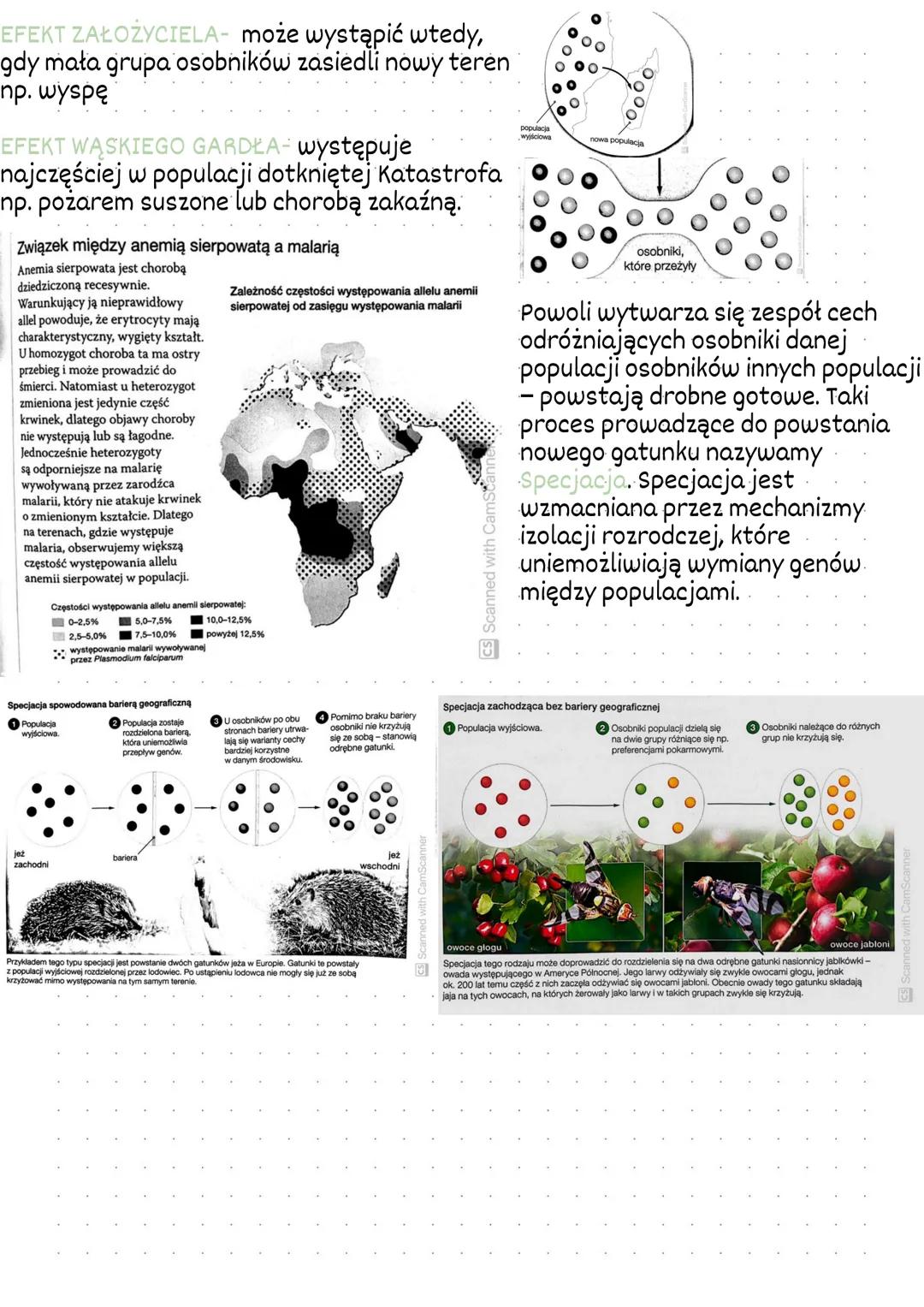 ŹRÓDŁA WIEDZY O EWOLUCJI
EWOLUCJA BIOLOGICZNA- to proces stopniowych i nieodwracalnych zmian
grup organizmów. W jej wyniku powstają nowe gat