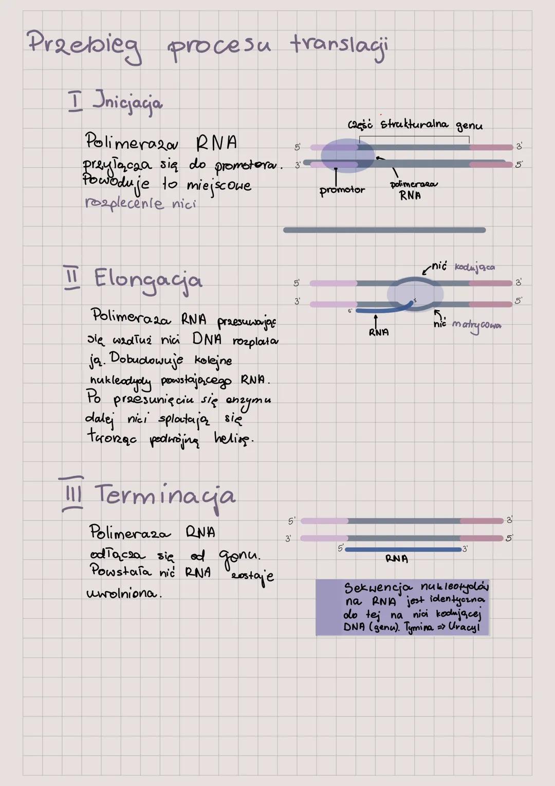 # Przebieg procesu transkrypcji.
Transkrypcja
Proces syntezy RNA. Przepisywanie informacji genetycznej z DNA na RNA.
Transkrypcja zachodz