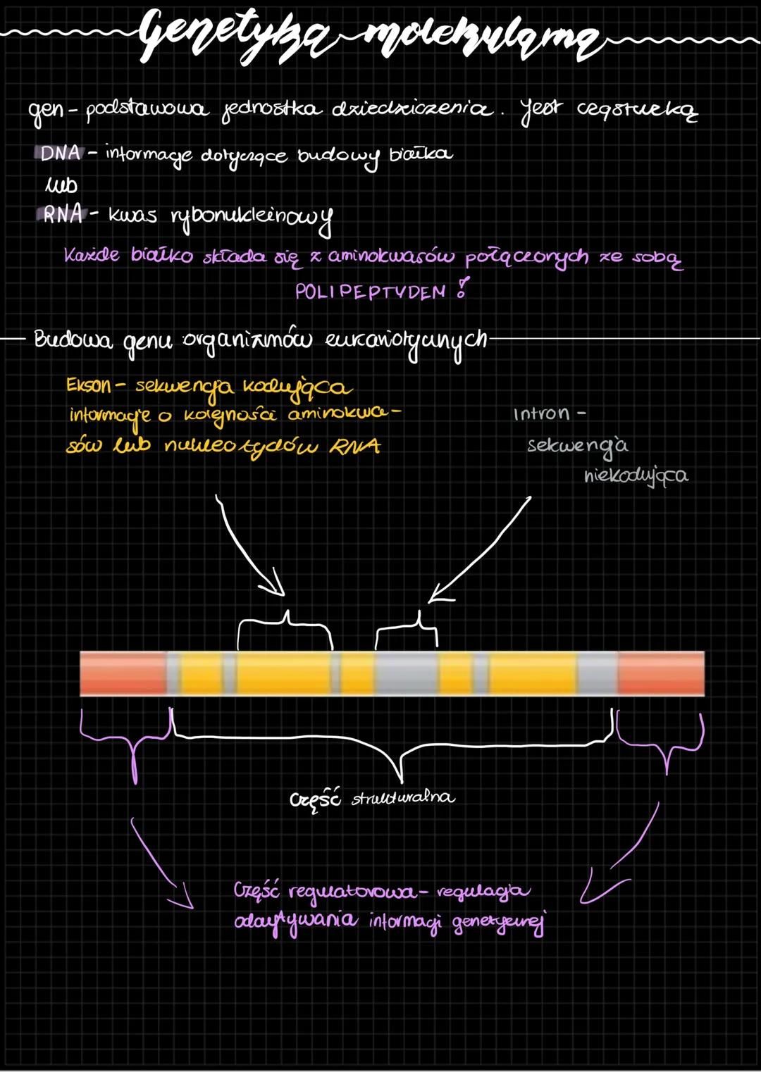 # Genetyka molekulama
gen-podstawowa jednostka dziedziczenia. Jest cegstueką
DNA - informage dotyczące budowy białka
lub
RNA - kwas rybon