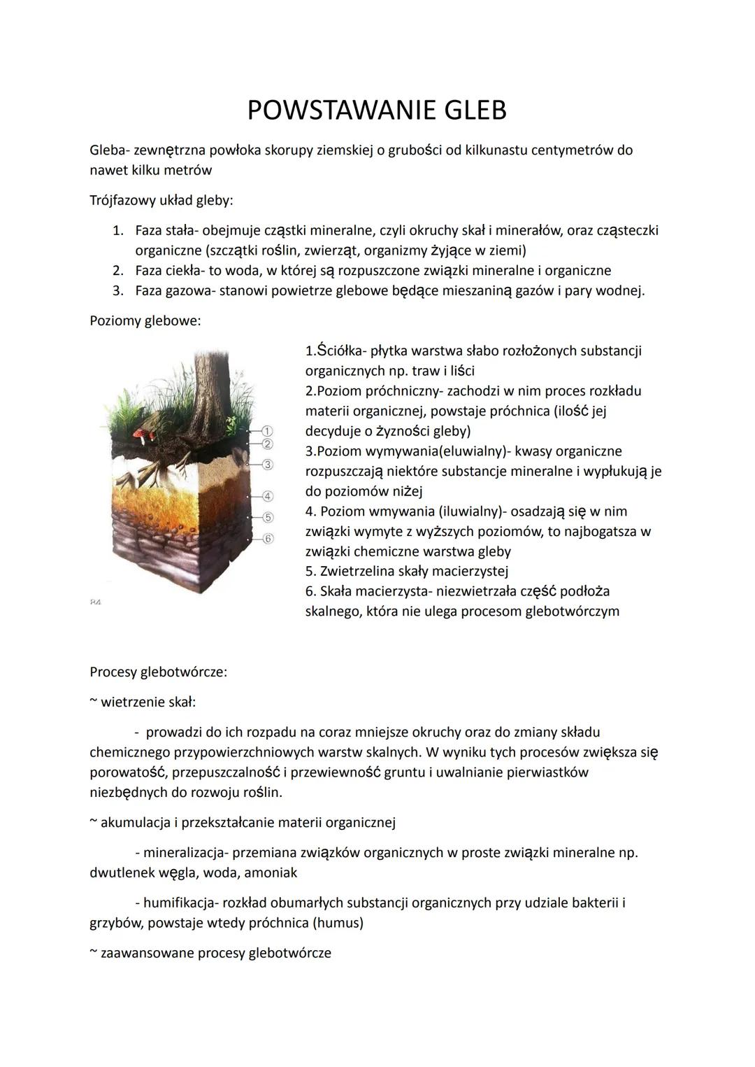 POWSTAWANIE GLEB
Gleba- zewnętrzna powłoka skorupy ziemskiej o grubości od kilkunastu centymetrów do
nawet kilku metrów
Trójfazowy układ gle