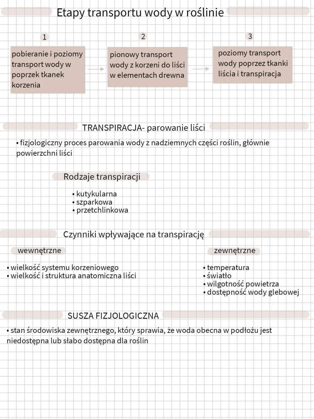 Etapy transportu wody w roślinie
1
pobieranie i poziomy
transport wody w
poprzek tkanek
2
pionowy transport
3
poziomy transport
wody z korze