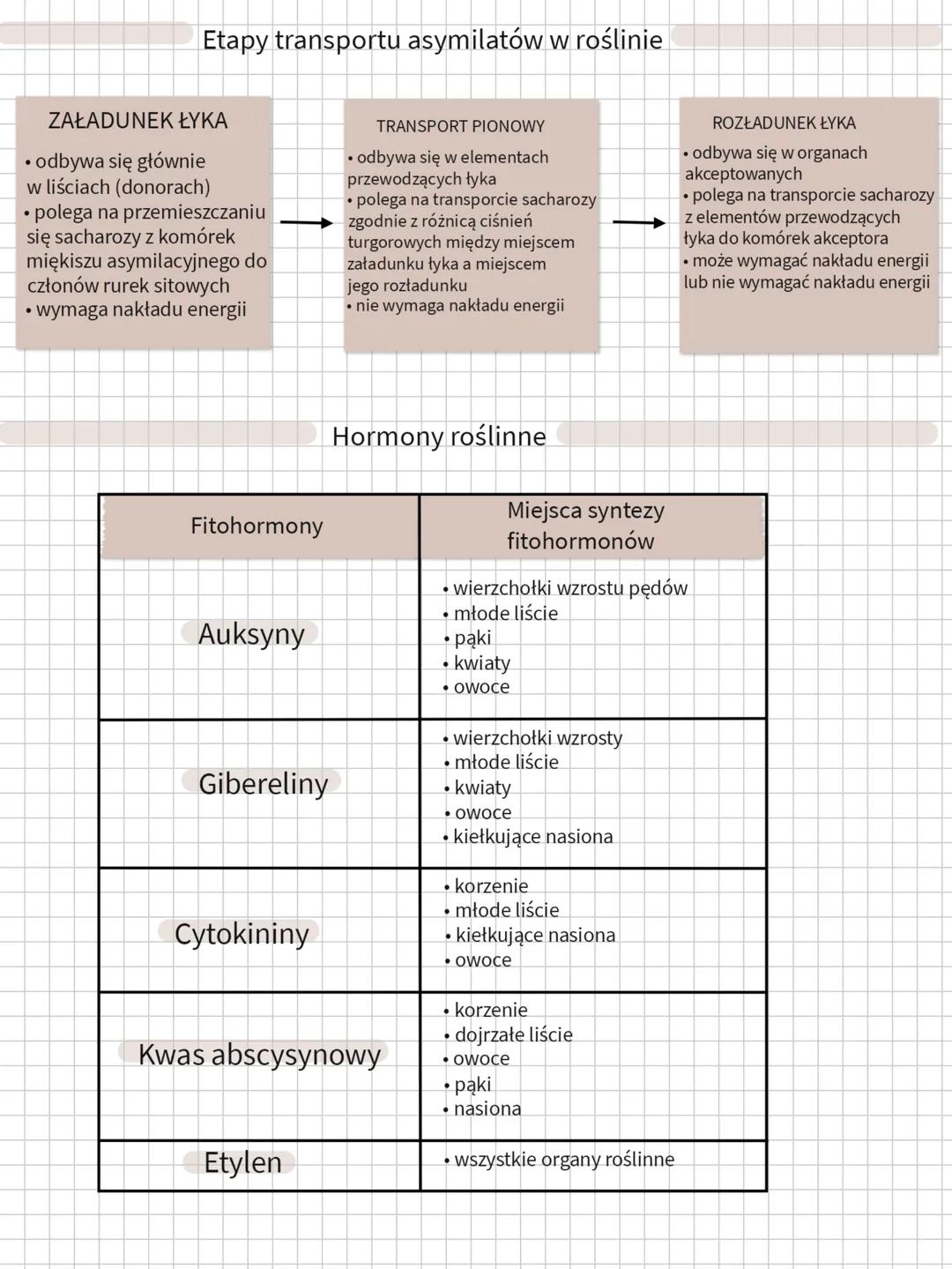 Etapy transportu wody w roślinie
1
pobieranie i poziomy
transport wody w
poprzek tkanek
2
pionowy transport
3
poziomy transport
wody z korze