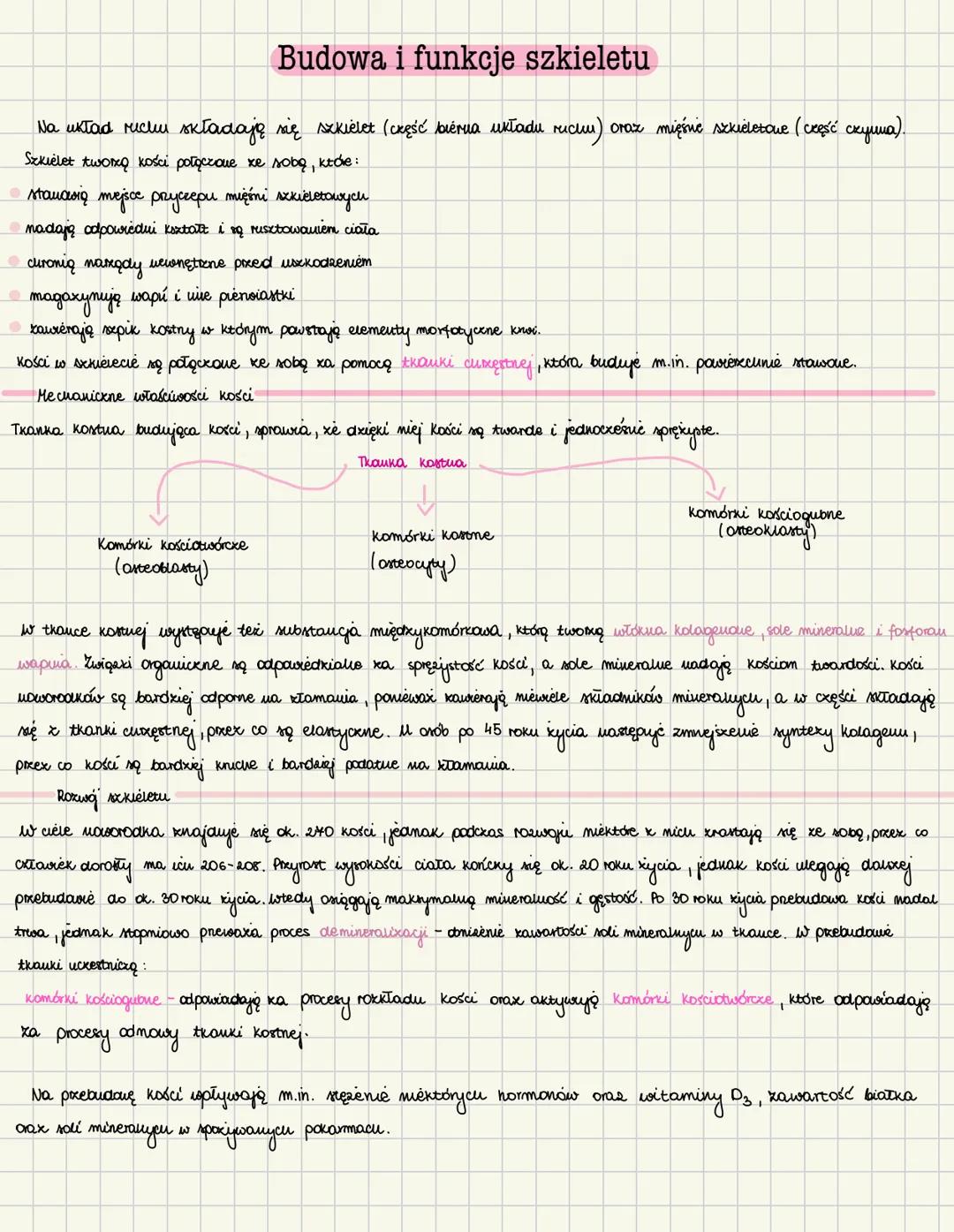 # Budowa i funkcje szkieletu
Na układ richum składają się szkielet (ckęść biéria układu ricum) oraz mięśnie szkieletoue (część скуша).
Szki