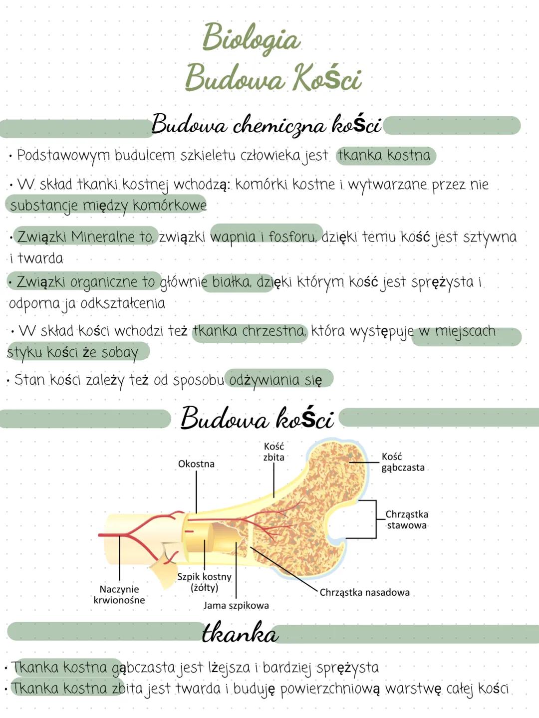# Biologia
# Budowa Kości
## Budowa chemiczna kości
* Podstawowym budulcem szkieletu człowieka jest tkanka kostna
* W skład tkanki kostn