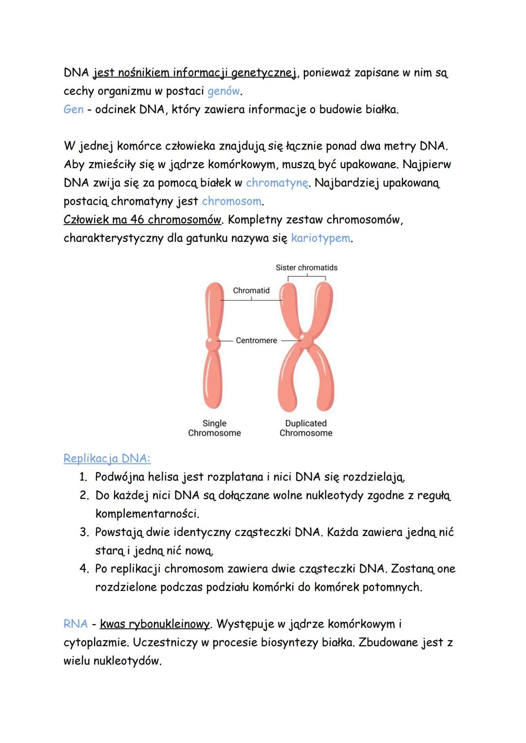 # Biologia
## Genetyka
Genetyka - nauka o dziedziczeniu cech oraz o zmienności organizmów.
Cechy:
- dziedziczne - np. kolor oczu, grupa k