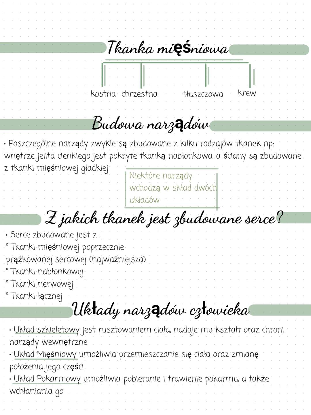 Biologia
Organizm człowieka jako funkcjonalna
całość
• Podstawowymi jednostkami organizmu są komórki. Komórki, które mają
podobną budowę i p