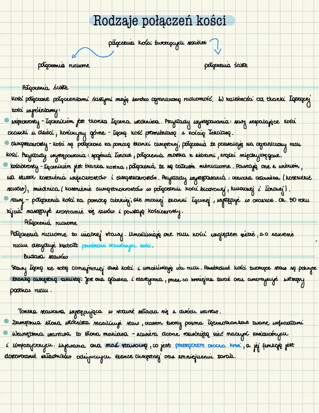 Rodzaje połączeń kości - układ ruchu