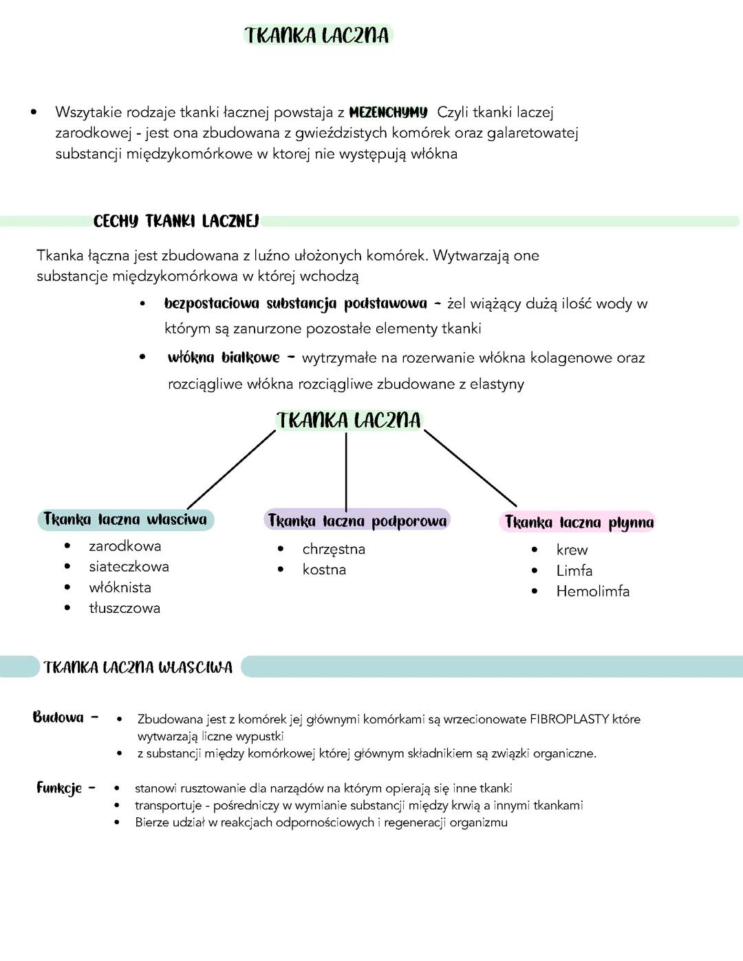 Tkanka łączna - biologia rozszerzona
