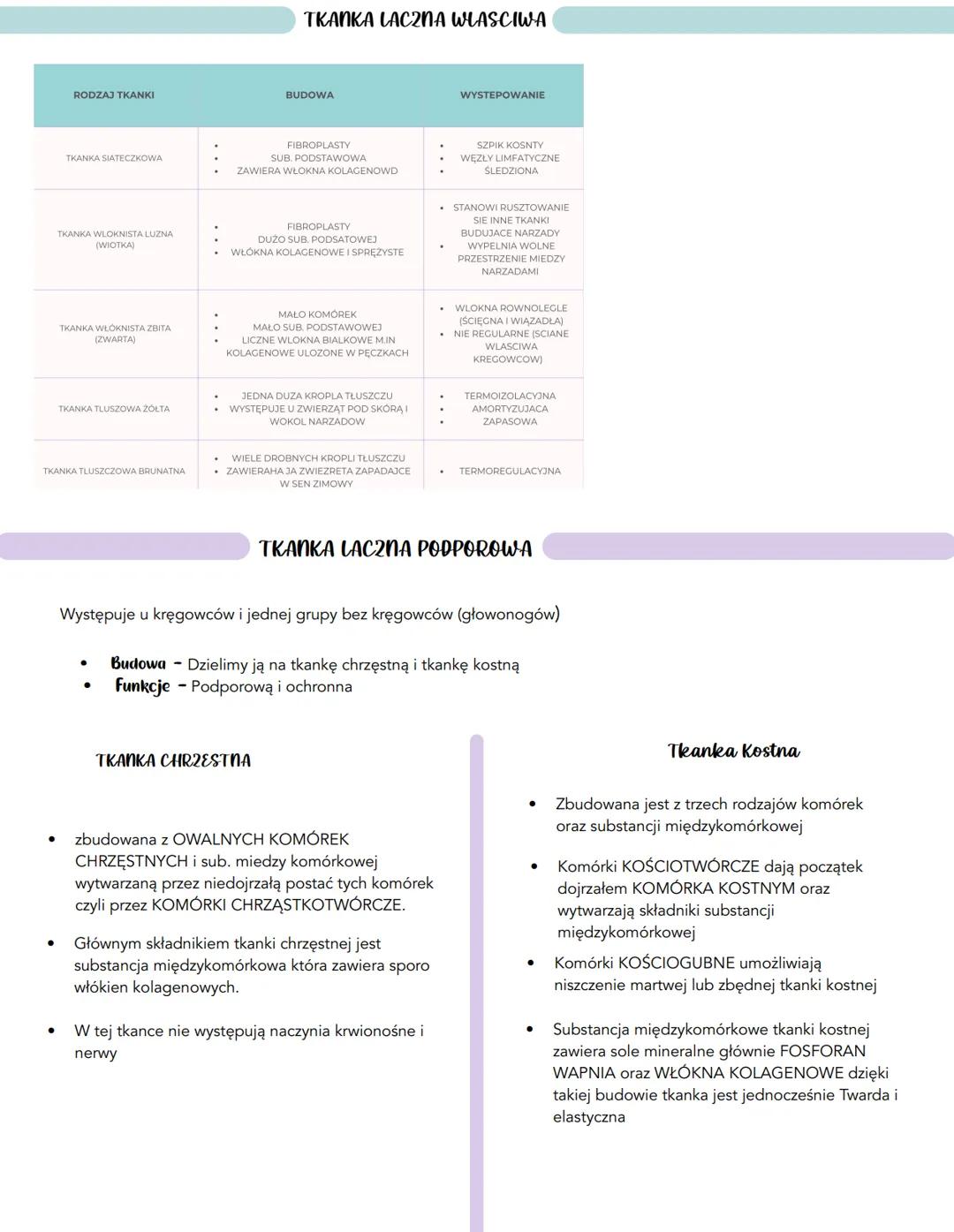 TKANKA LACZNA
Wszytakie rodzaje tkanki łacznej powstaja z MEZENCHYMY Czyli tkanki laczej
zarodkowej - jest ona zbudowana z gwieździstych kom