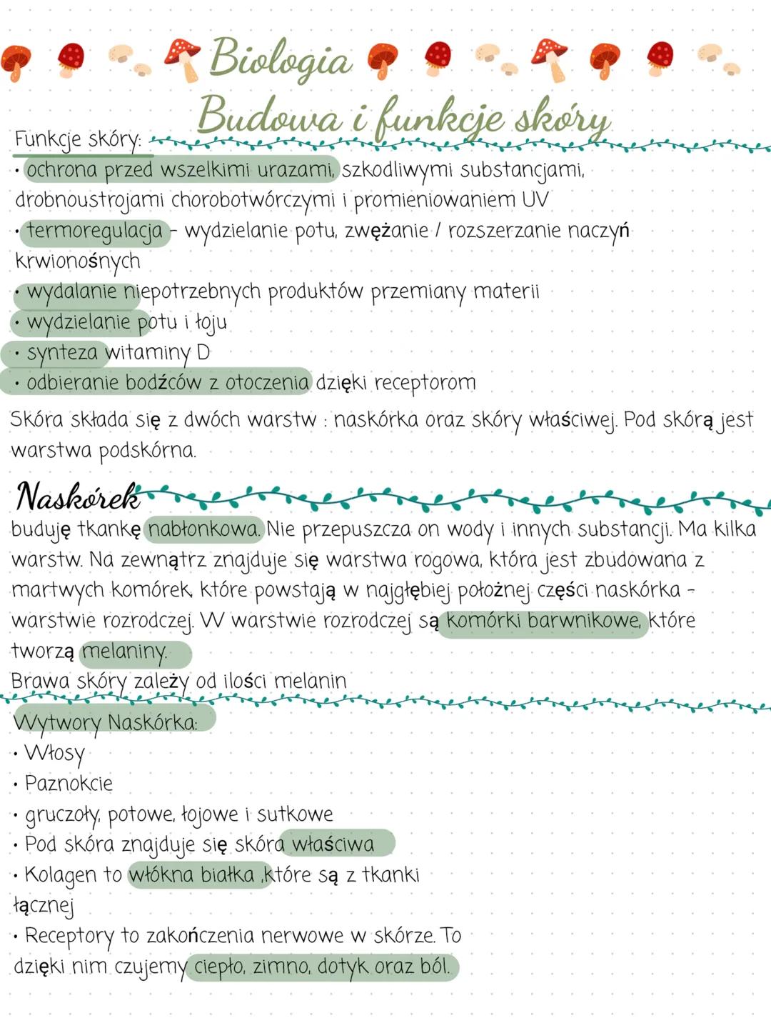 Funkcje skóry: ve
Biologia
Budowa i funkcje skóry
•• ochrona przed wszelkimi urazami, szkodliwymi substancjami,
drobnoustrojami chorobotwórc
