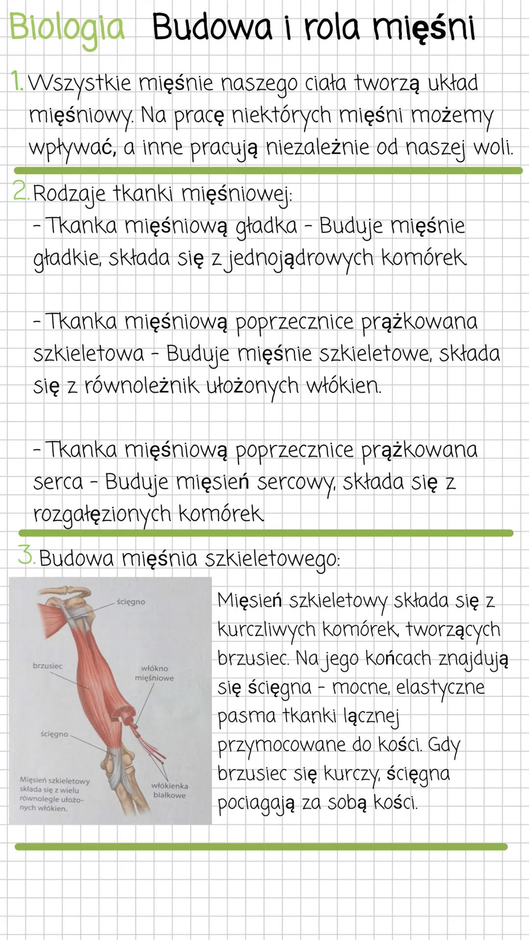 Biologia Budowa i rola mięśni
1. Wszystkie mięśnie naszego ciała tworzą układ
mięśniowy. Na pracę niektórych mięśni możemy
wpływać, a inne p