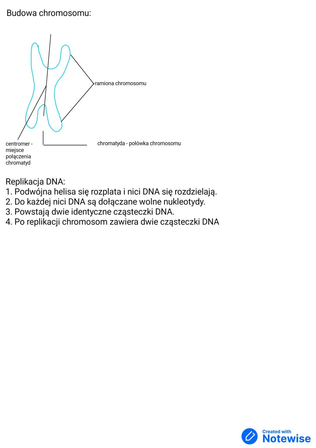Nośnik informacji genetycznej - DNA
Wszystkie cechy dziedziczne to informacja genetyczna. Jej nośnikiem jest kwas
deoksyrybonukleinowy, w sk