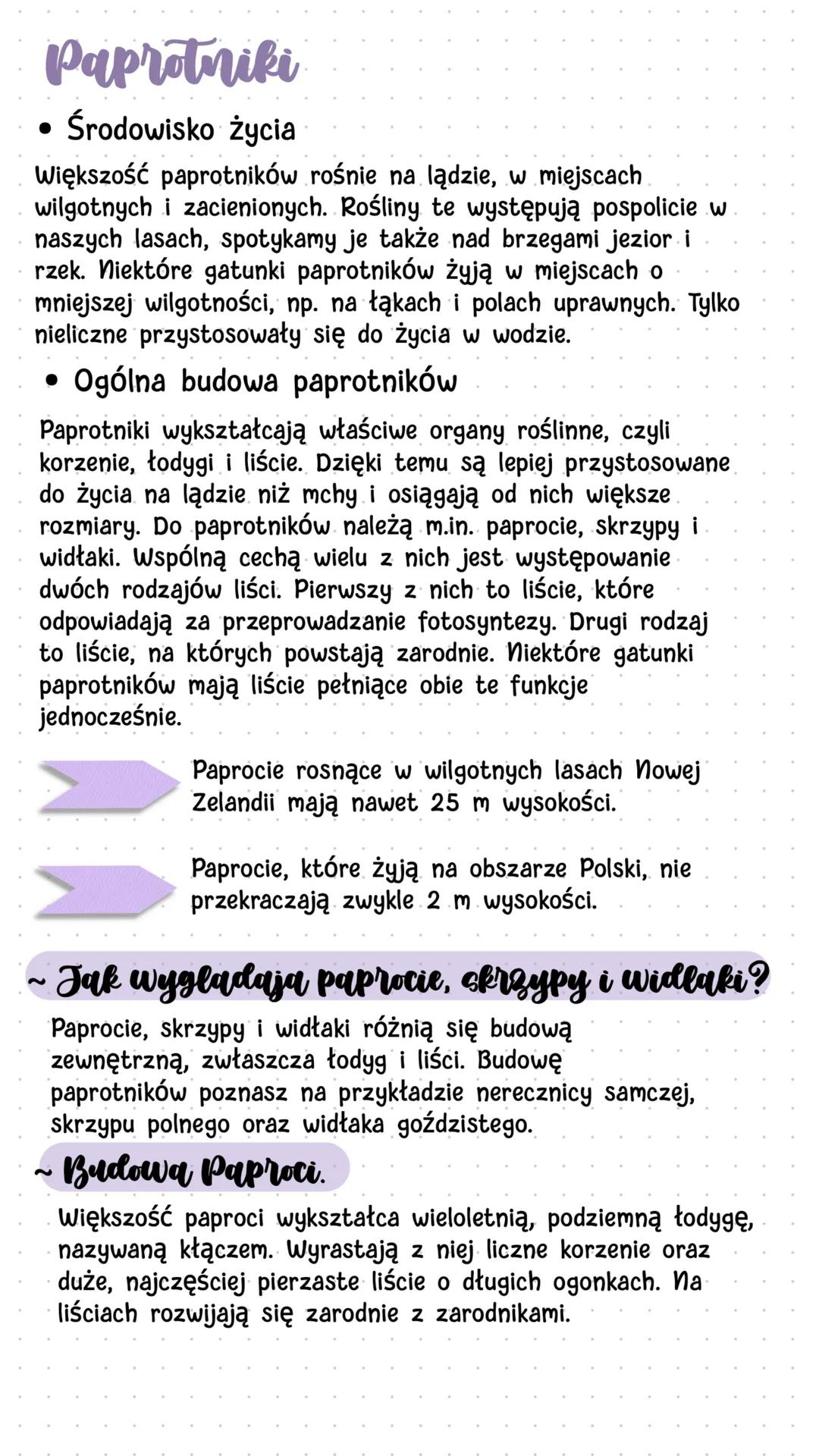 Biologia
Mchy i paprotniki
Mchy
• Środowisko życia mchów
Mchy są niewielkimi roślinami - ich wysokość nie przekracza
zwykle kilkunastu centy