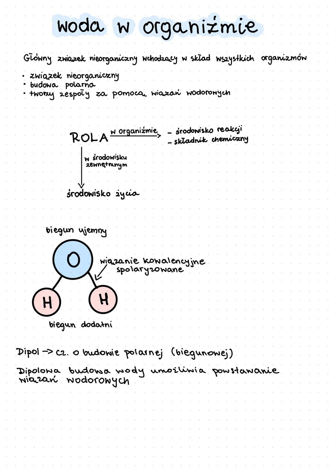woda w organizmie
Główny zwiazek nieorganiczny wchodzący w skład wszystkich organizmów
•
związek nieorganiczny
budowa polarna
Itworzy zespoł
