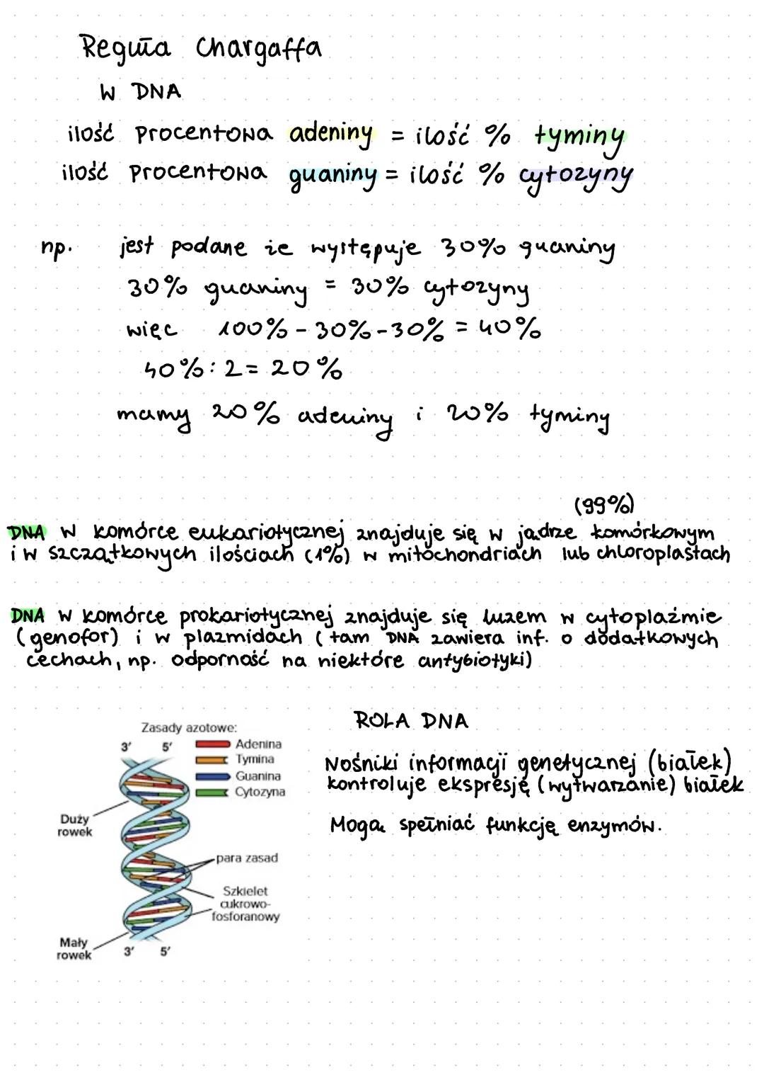 Kwas nukleinowy DNA-KW. deoksyrybonukleinowy
polimery nukleotydow
reszta fosforanowa.
(2 kw. ortofosforowego).
wiązanie
estrowe
R₁-Co
در
P
R