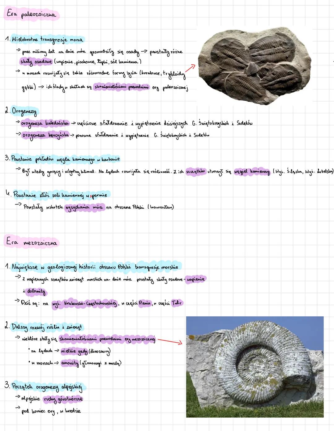 # 1.2 Budowa geologiczna Polskú
Główne struktury geologiane Polski:
1. Platforma wschodnioeuropejska
→Obejmuje potrocno-wschodnią ręść Po