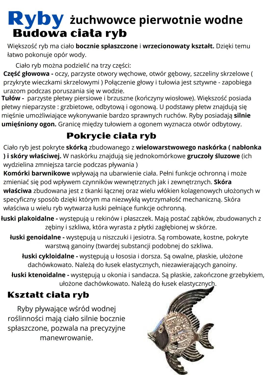 Ptaki - żuchwowce pierwotnie wodne