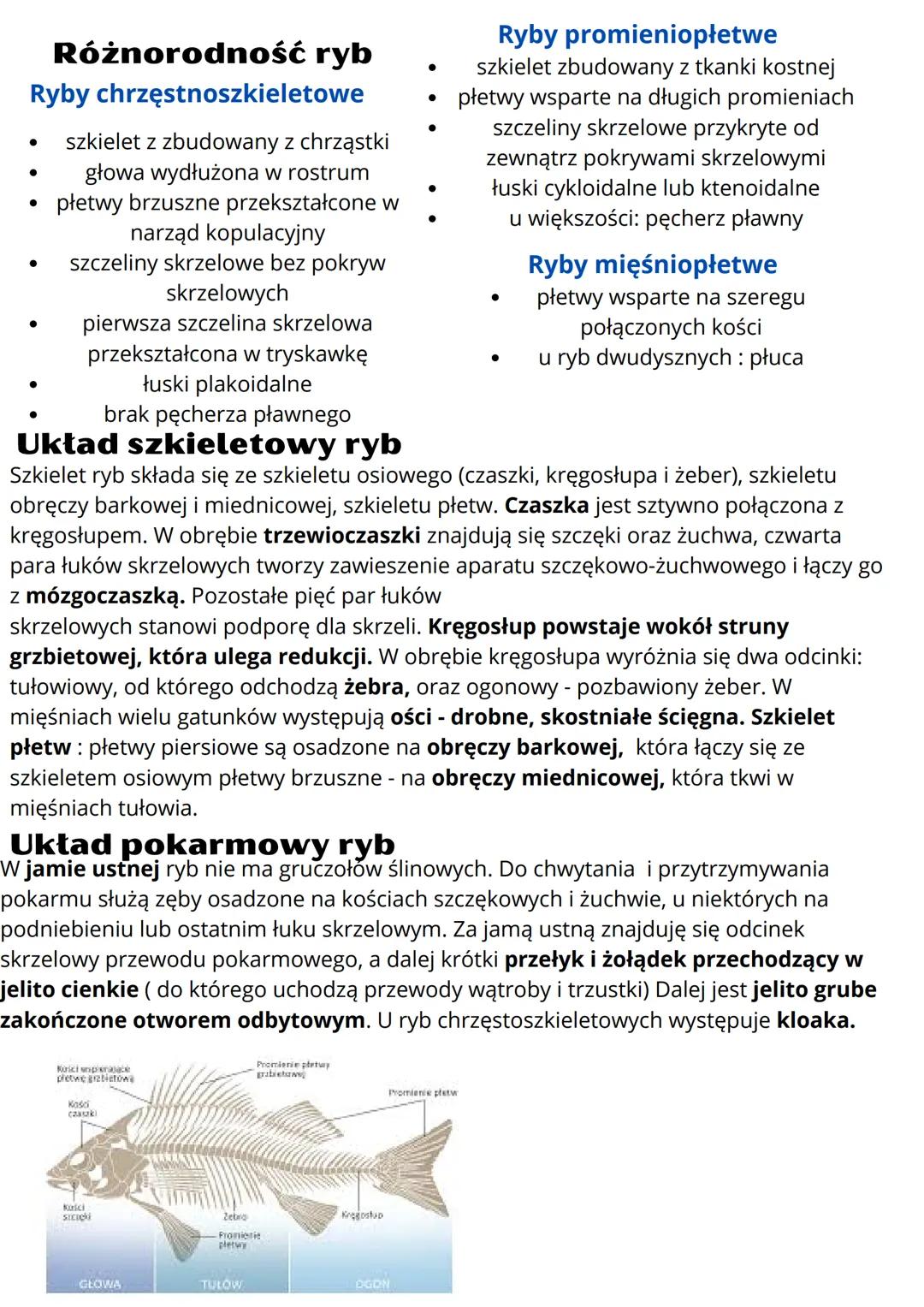 # Ryby żuchwowce pierwotnie wodne
## Budowa ciała ryb
Większość ryb ma ciało bocznie spłaszczone i wrzecionowaty kształt. Dzięki temu
łatw