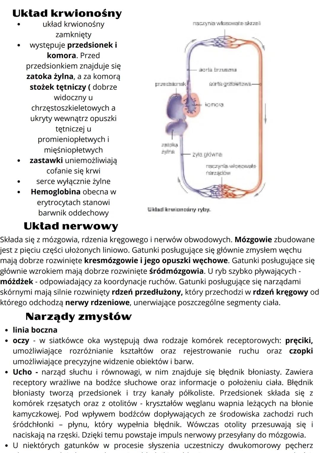# Ryby żuchwowce pierwotnie wodne
## Budowa ciała ryb
Większość ryb ma ciało bocznie spłaszczone i wrzecionowaty kształt. Dzięki temu
łatw