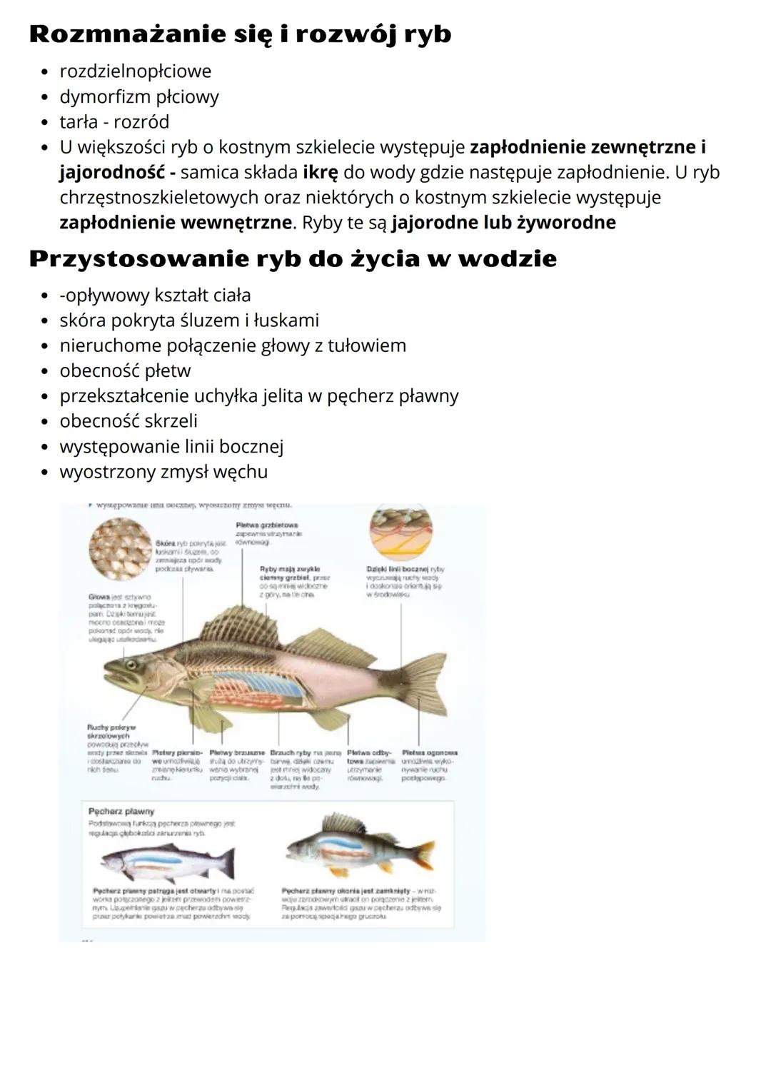 # Ryby żuchwowce pierwotnie wodne
## Budowa ciała ryb
Większość ryb ma ciało bocznie spłaszczone i wrzecionowaty kształt. Dzięki temu
łatw