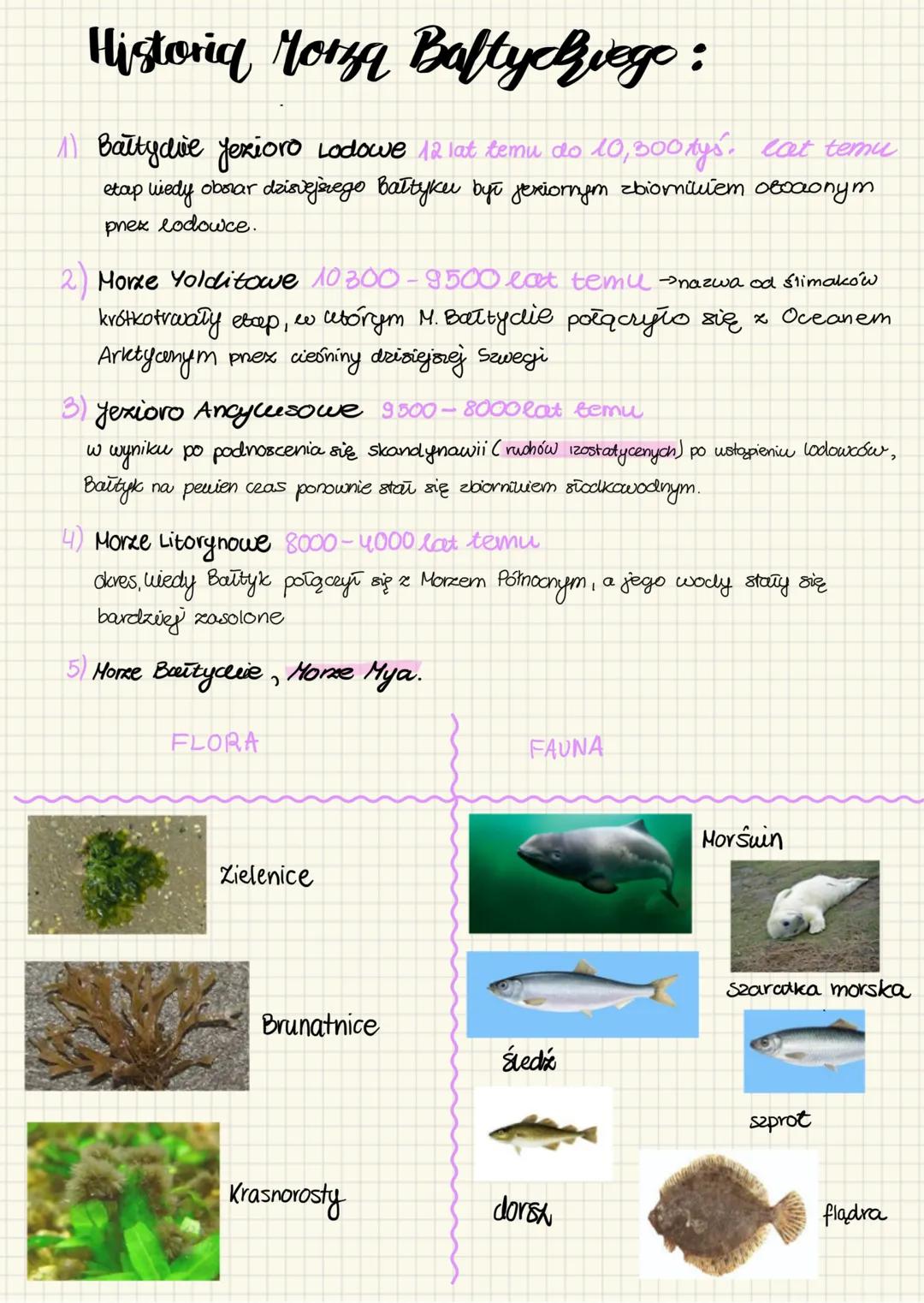 # Morze Bałtyckie:
Jest to morze z ogranicaonym kontautem z oceanem. Jest śródziemne
wewngerekomynentalne., sreltowe
Zatoka
Botnicka
Najw