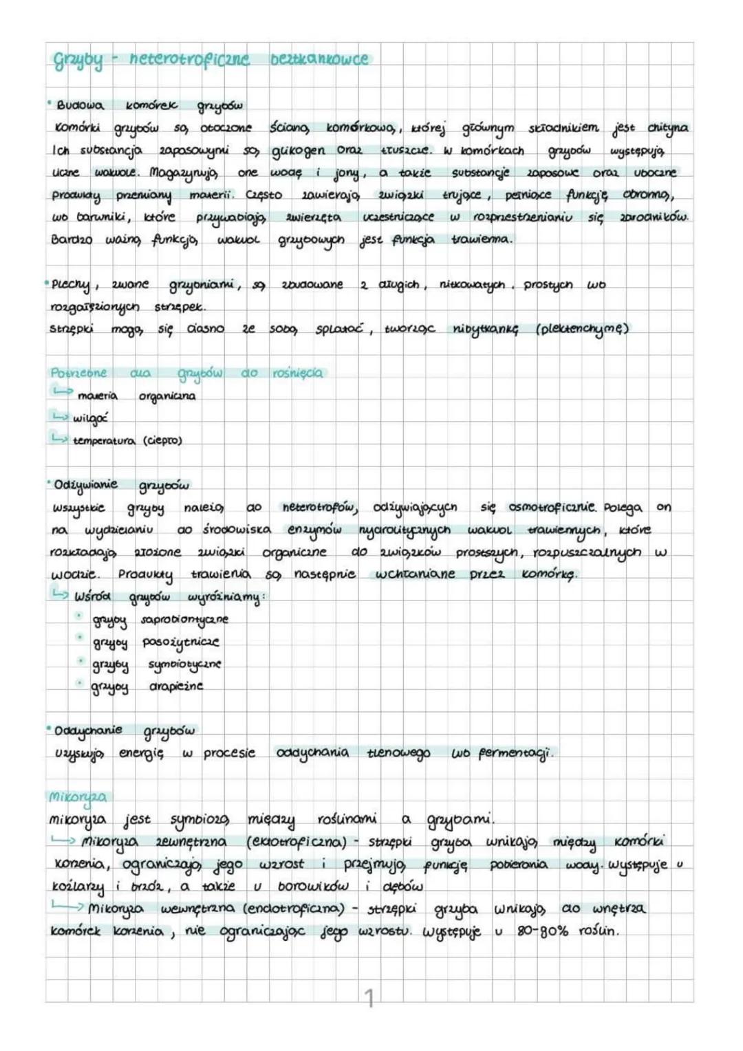 Grzyby neterotroficzne beztkankowce
• Budowa komórek grzybów
Komórki grzybów so, otoczone ściano, komórkowo,, której głównym składnikiem je