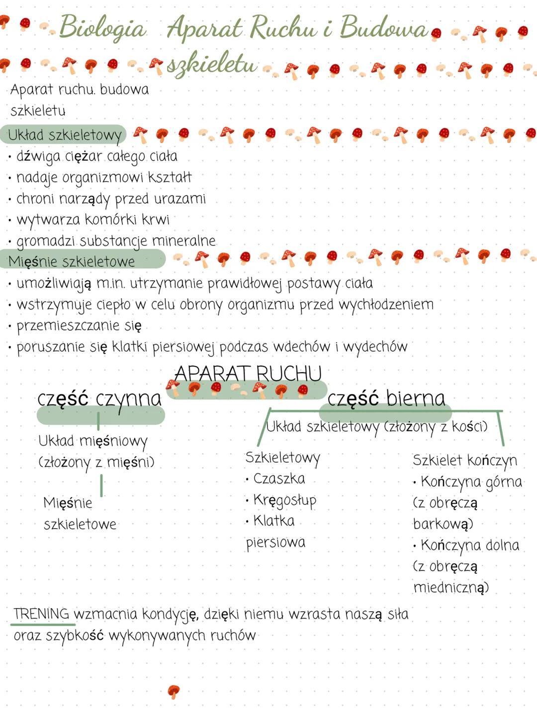 # Biologia Aparat Ruchu i Budowa
szkieletu
Aparat ruchu. budowa
szkieletu
Układ szkieletowy
- dźwiga ciężar całego ciała
- nadaje organizm
