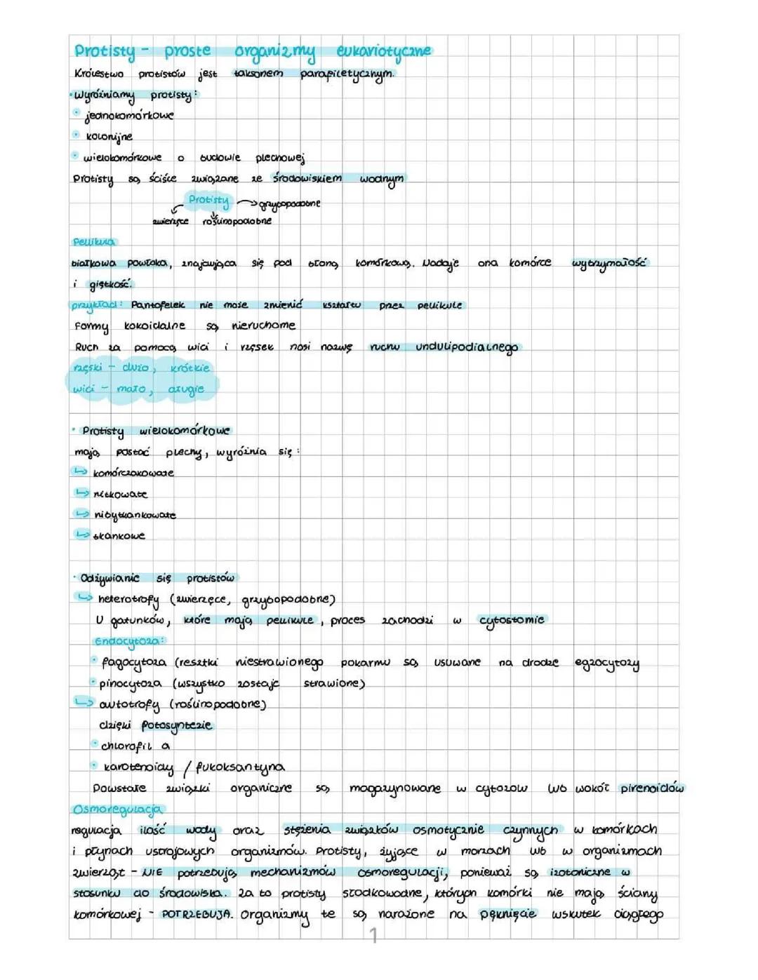 Protisty - proste organizmy eukariotyczne