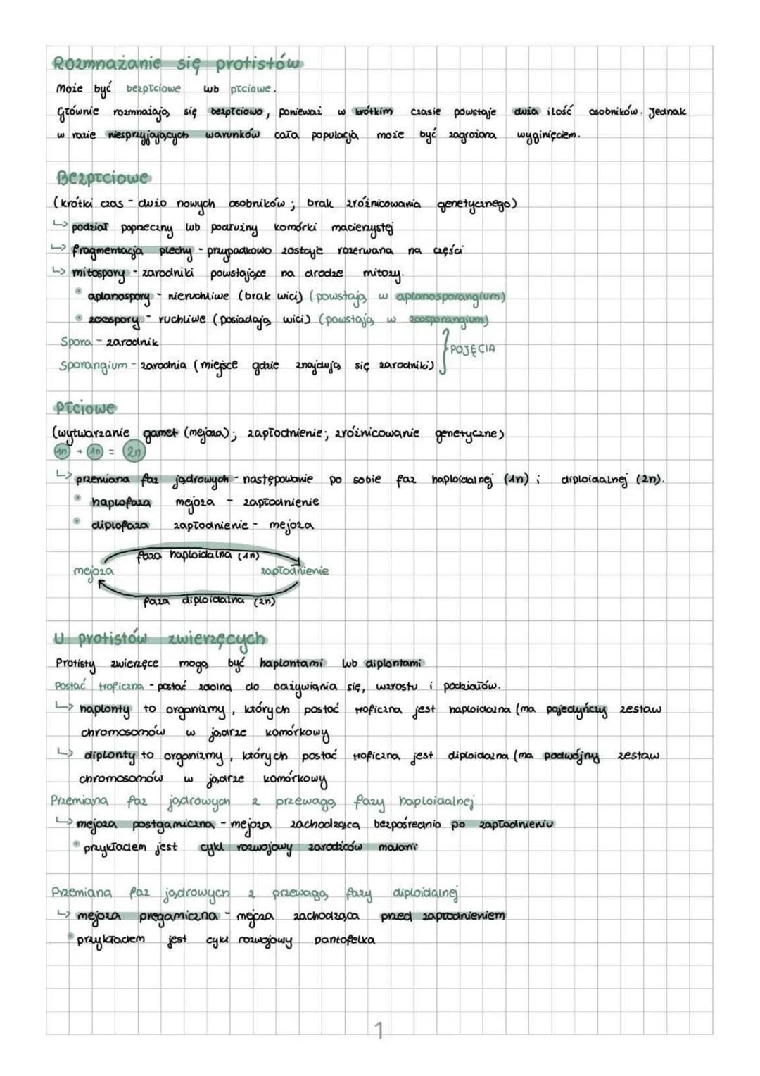 Protisty - proste organizmy eukariotyczne
Królestwo protistów jest taksonem parafiletycznym.
Wyróżniamy protisty
jednokomórkowe
kolonijne
⚫