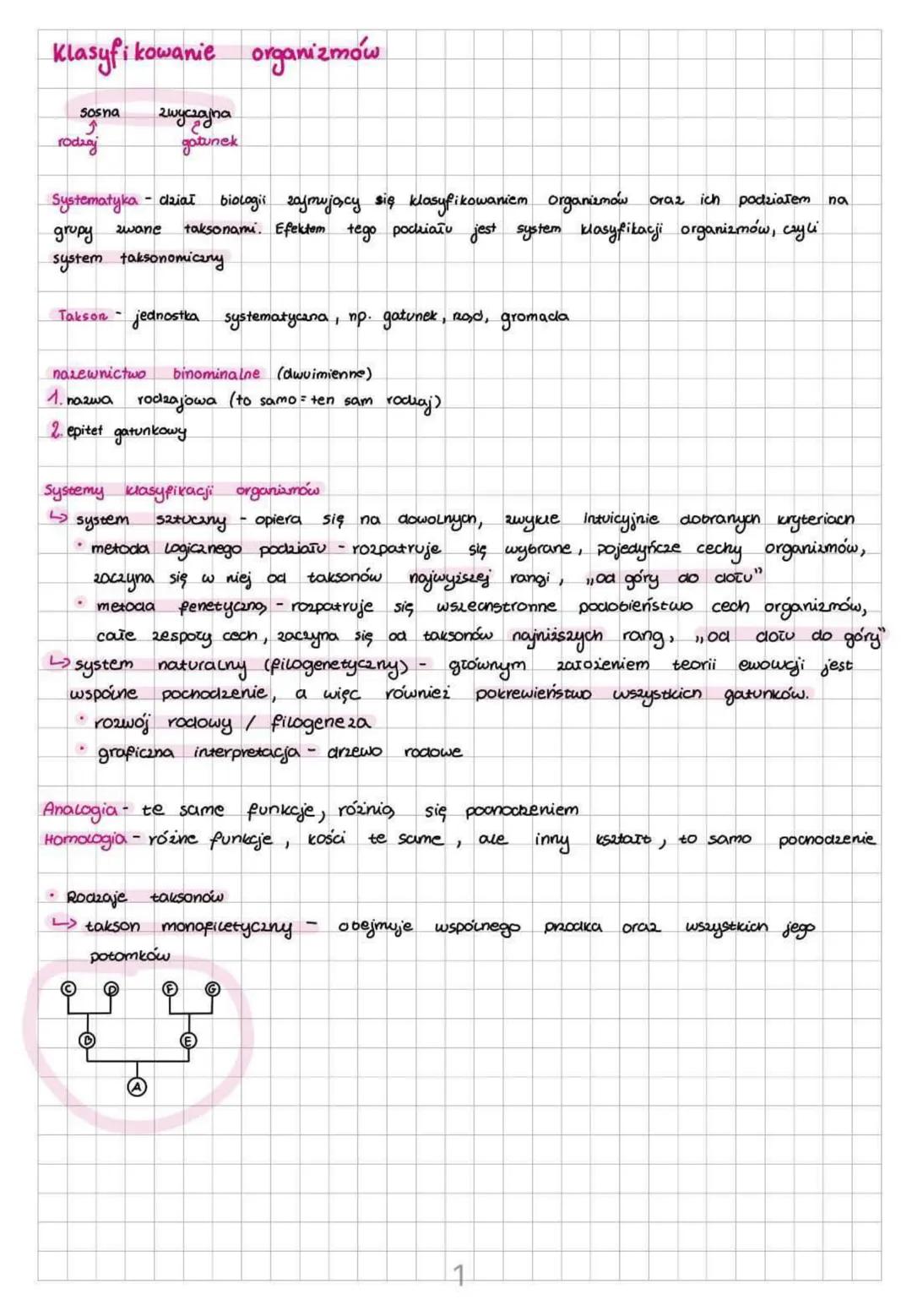 Klasyfikowanie organizmów