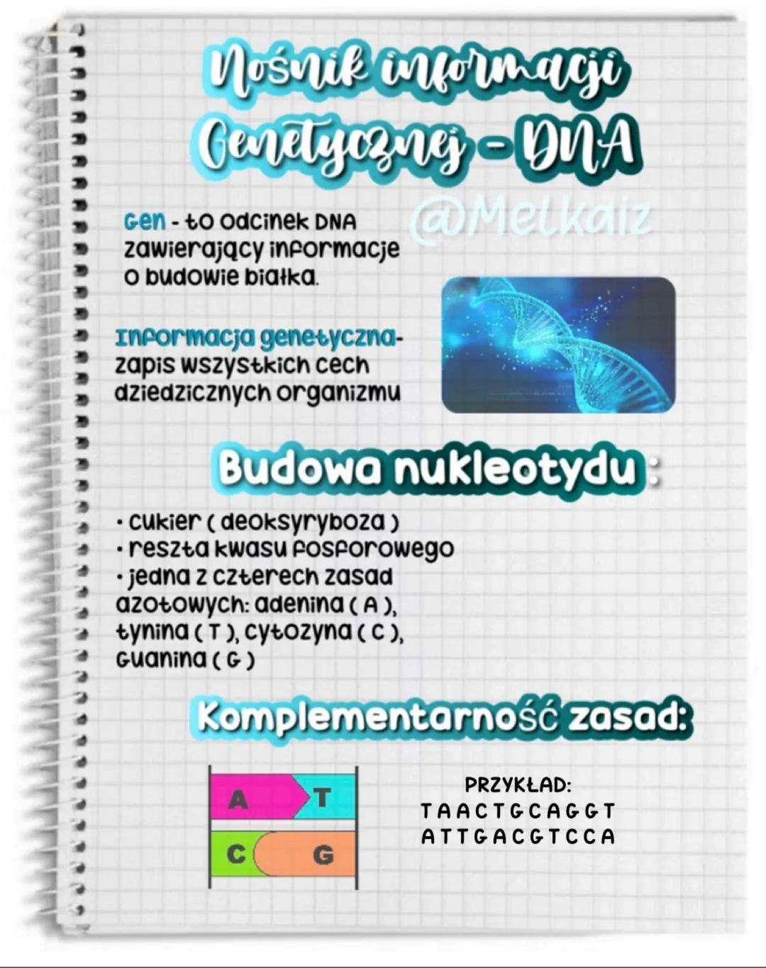 Biologia klasa 8 - DNA