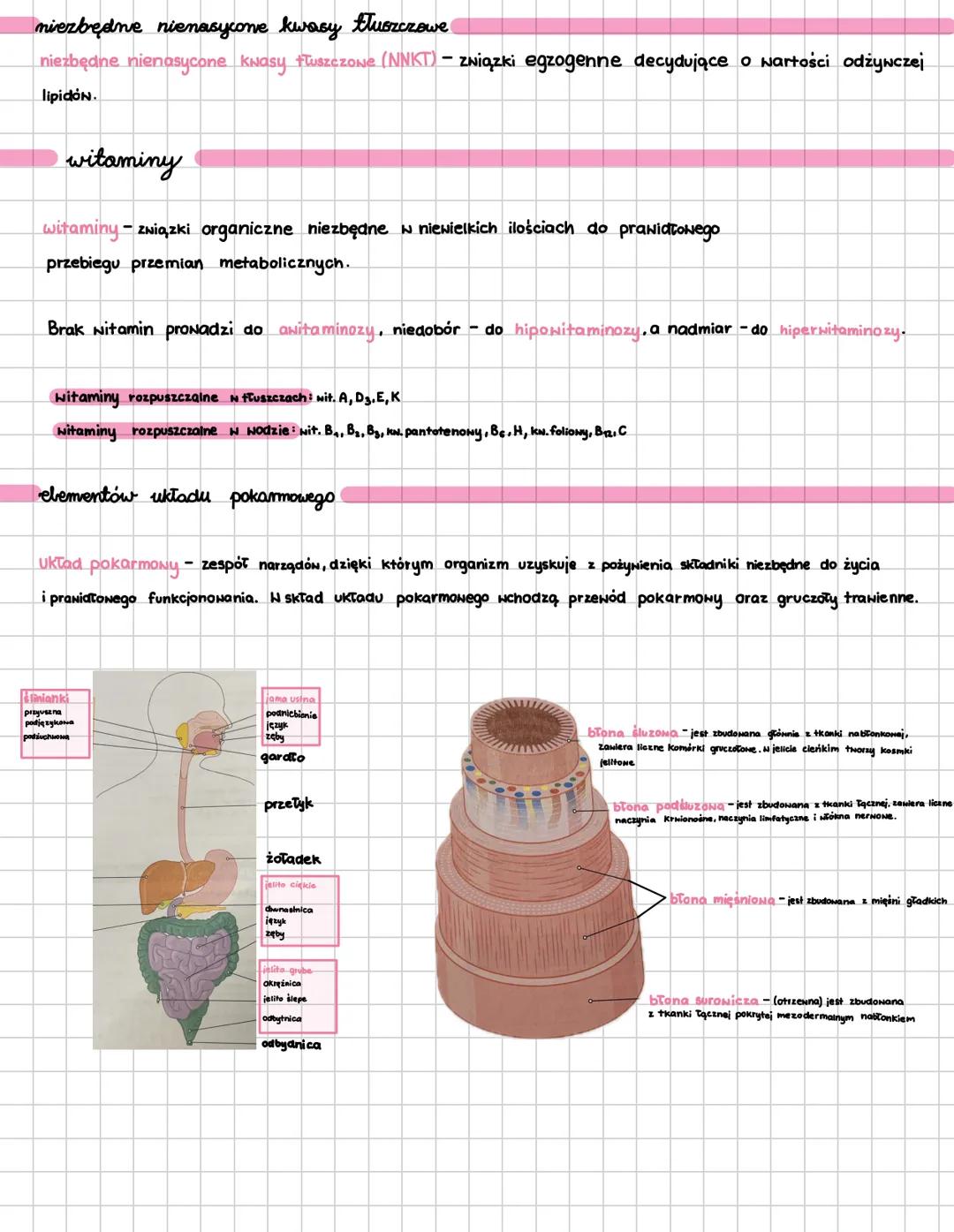 # UKŁAD POKARMONY
trawienie
Hewnętrznokomórkowe:
- polega na enzymatycznym rozkładzie pokarmu w komórkach,
- występuje np. u gąbek, parzy