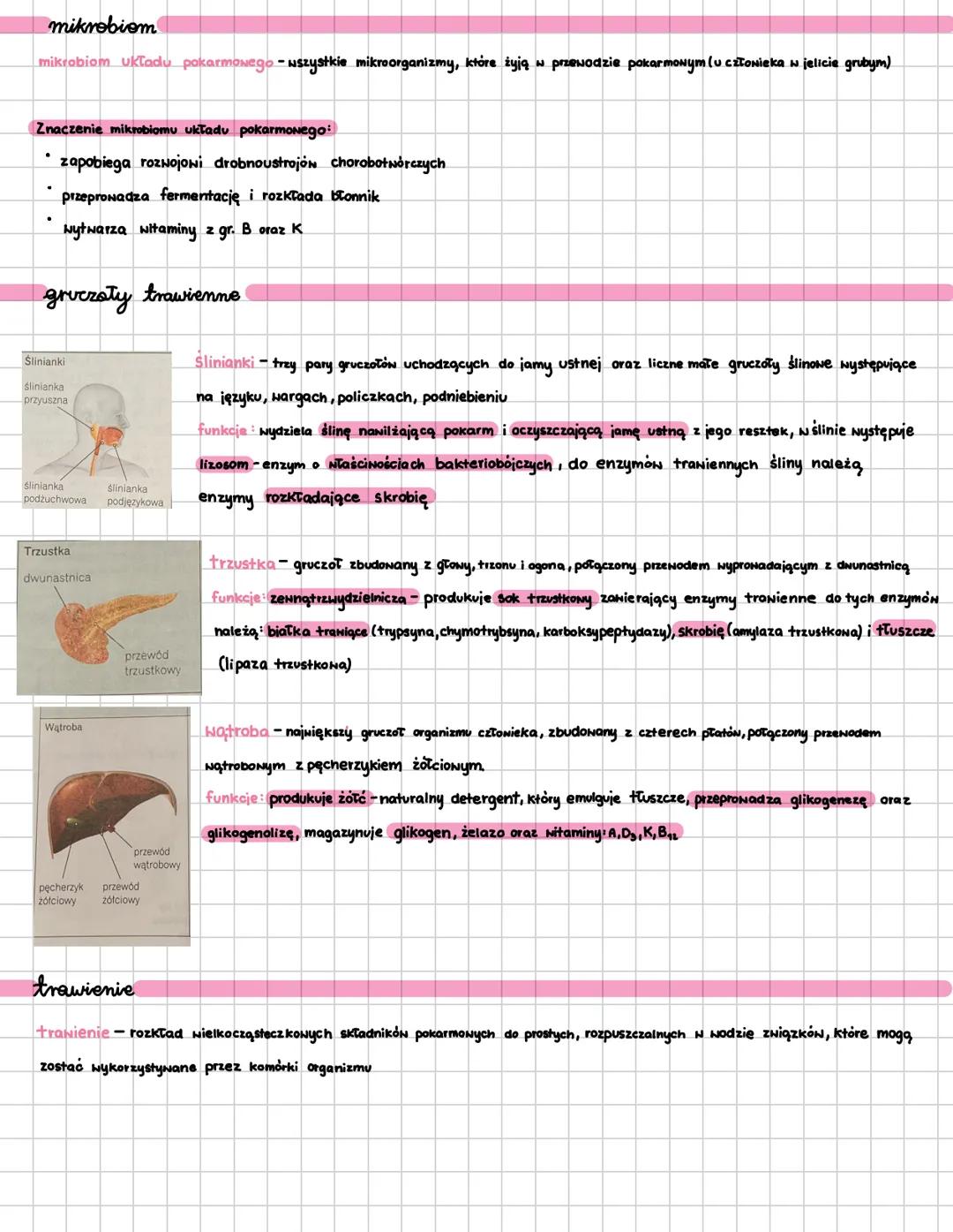 # UKŁAD POKARMONY
trawienie
Hewnętrznokomórkowe:
- polega na enzymatycznym rozkładzie pokarmu w komórkach,
- występuje np. u gąbek, parzy