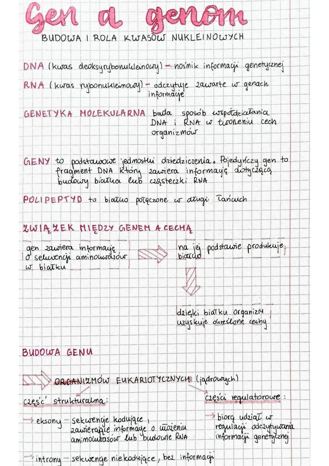 Gen a genom
BUDOWA I ROLA KWASOW NUKLEINOWYCH
DNA (kwas deoksyrybonukleinowy) - nosmik informaci genetycznej
RNA (kwas rybonukleinowy) - odc